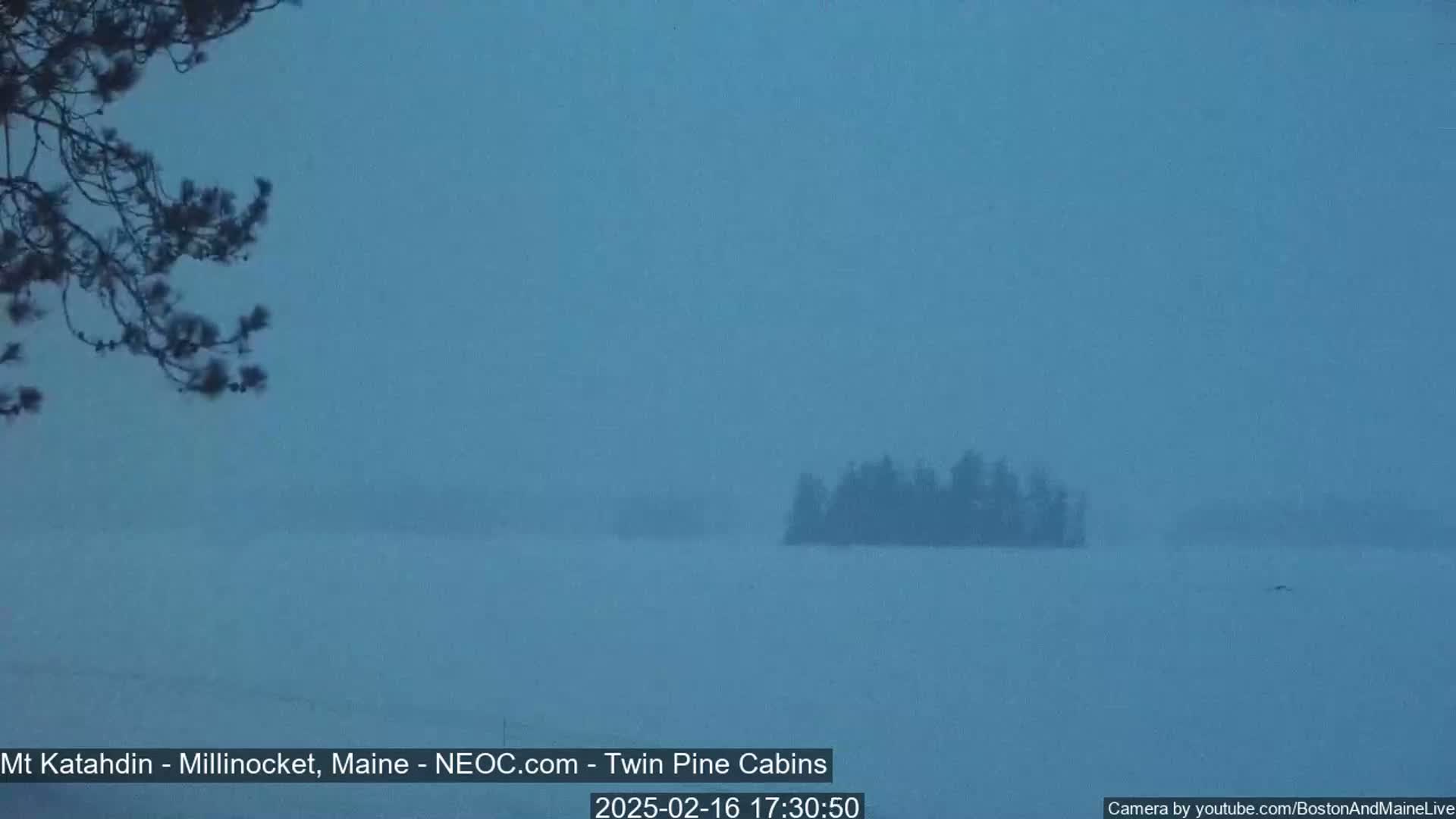 A snow-covered landscape shows a cluster of dark trees on a small island in a lake, with a branch of a tree visible in the foreground under a dim, snowy sky.