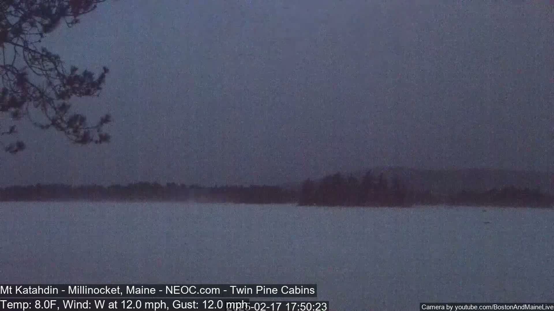 A dark, snowy, and windy landscape shows a body of water with a treeline in the distance under a dusky sky.