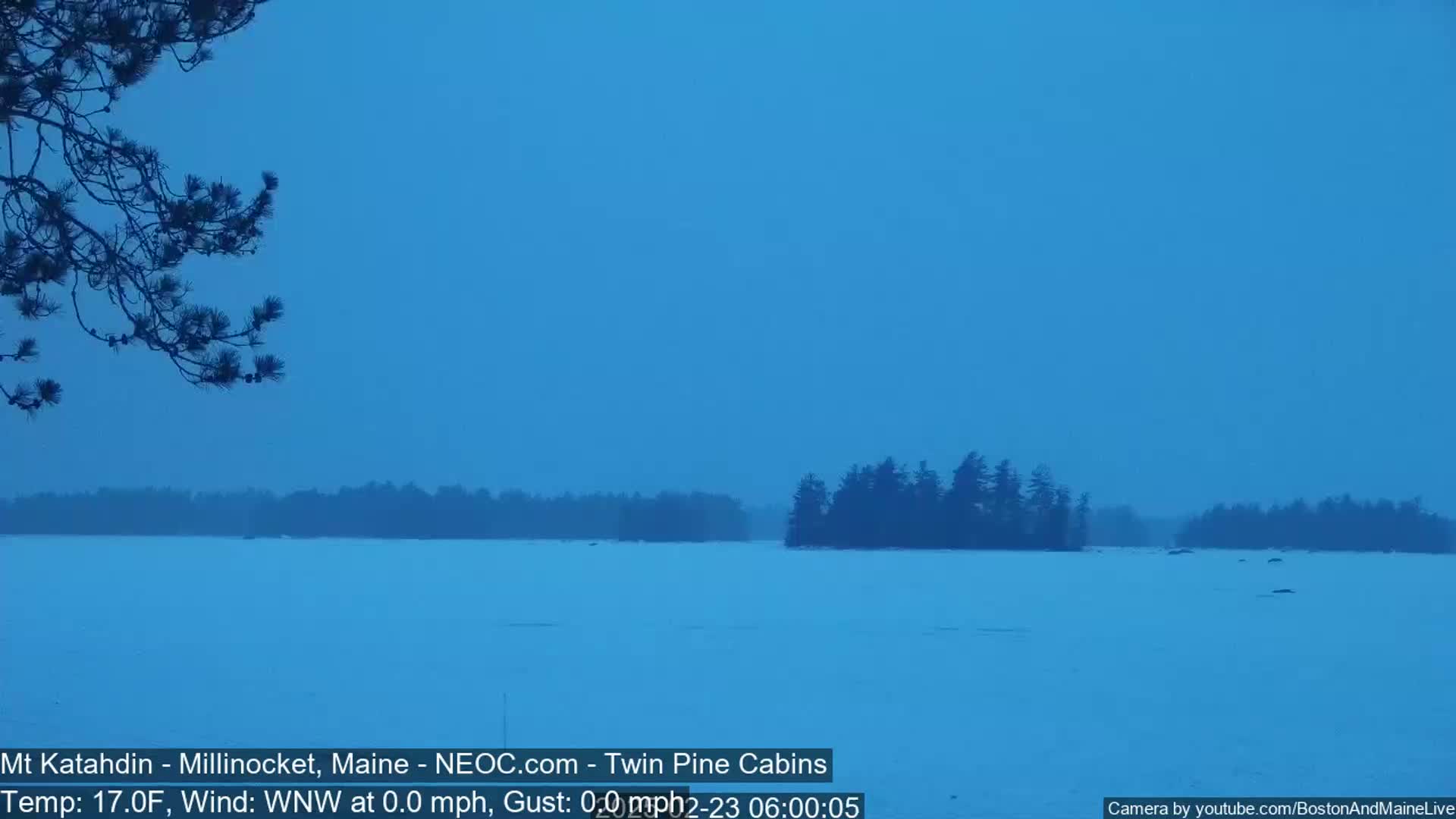 A snow-covered lake is seen under a twilight sky, with a dark tree line in the distance and a tree branch in the foreground.
