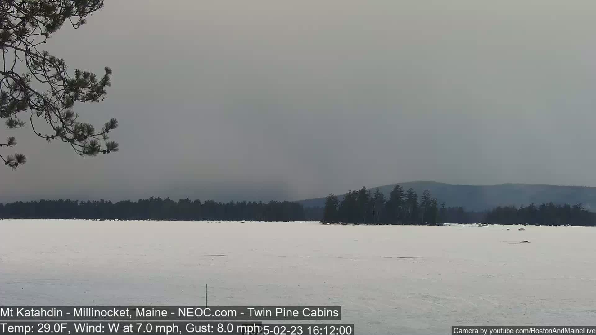 A snow-covered lake stretches out to a line of dark trees and distant hills under an overcast sky, with a branch of a pine tree in the lower left corner.