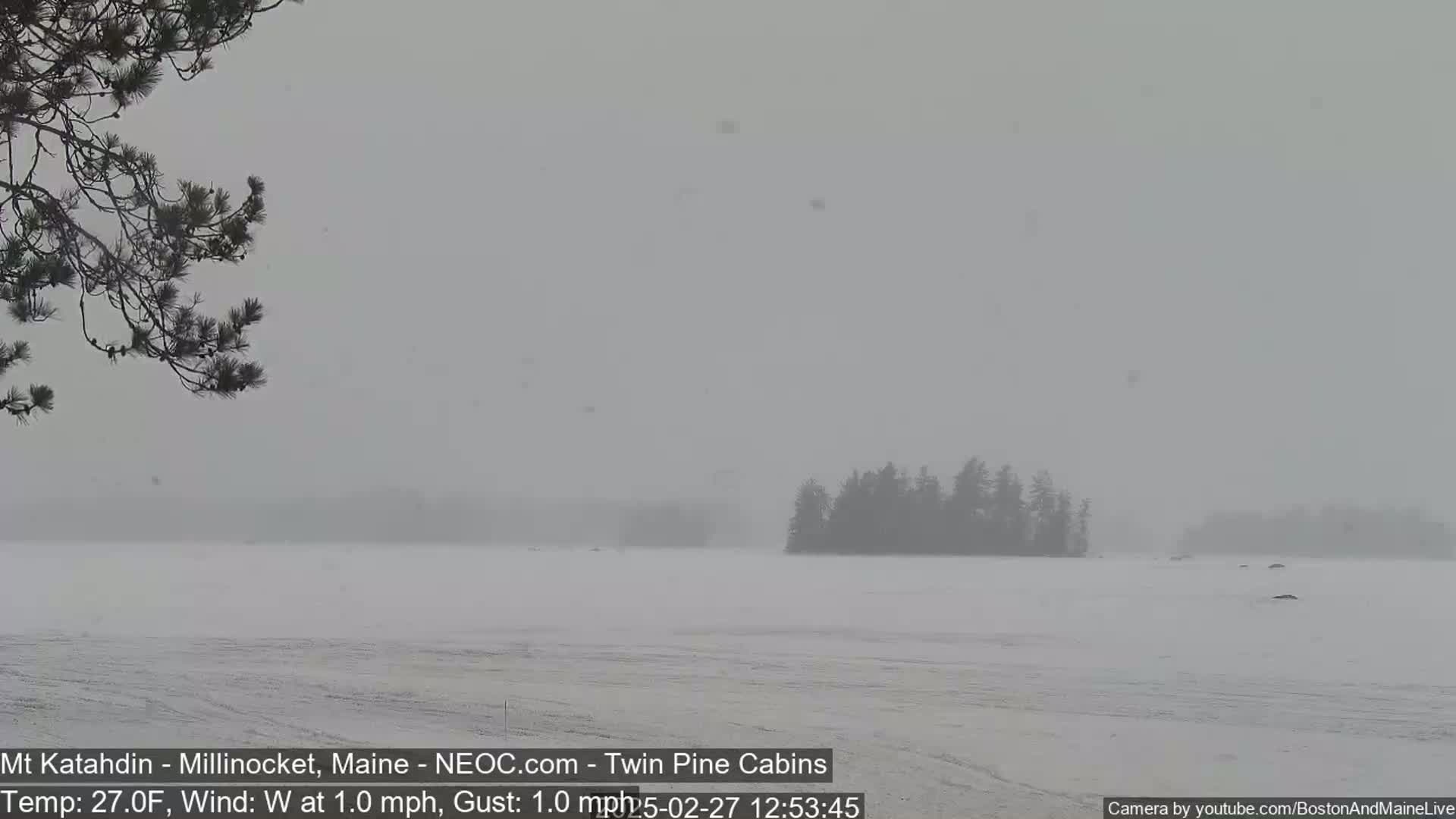 A snow-covered lake is seen under a hazy sky with light snowfall; a small island with dark trees is visible in the middle distance, and a branch from a coniferous tree is visible in the lower left corner.