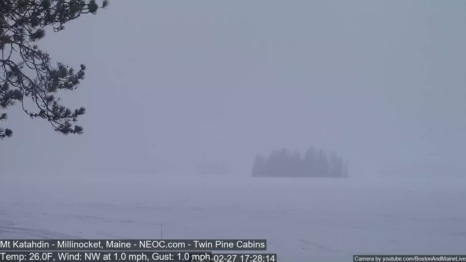 A snow-covered landscape stretches out under a foggy sky, with a distant island of dark trees barely visible through the haze.