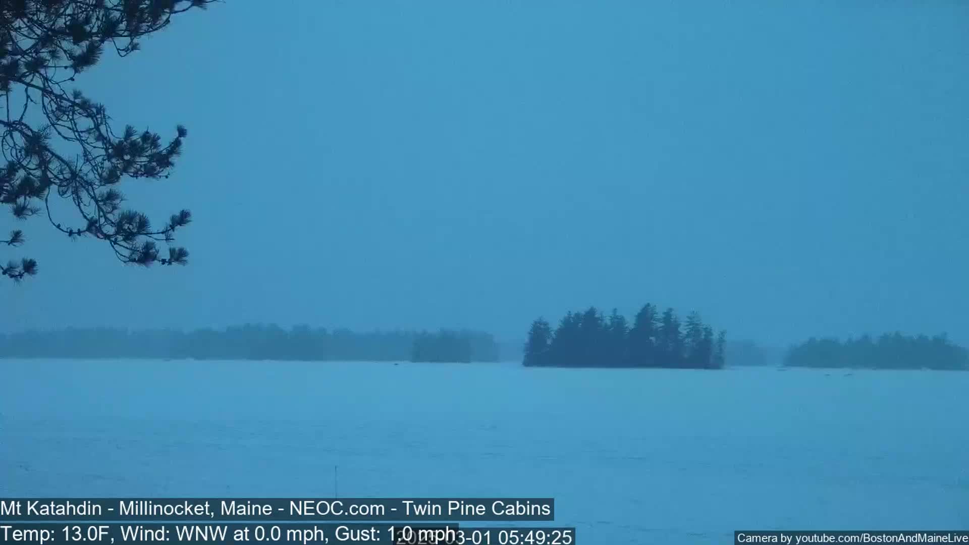 A snow-covered lake is seen under a hazy blue sky, with dark silhouettes of evergreen trees visible on a distant island and a branch in the foreground.