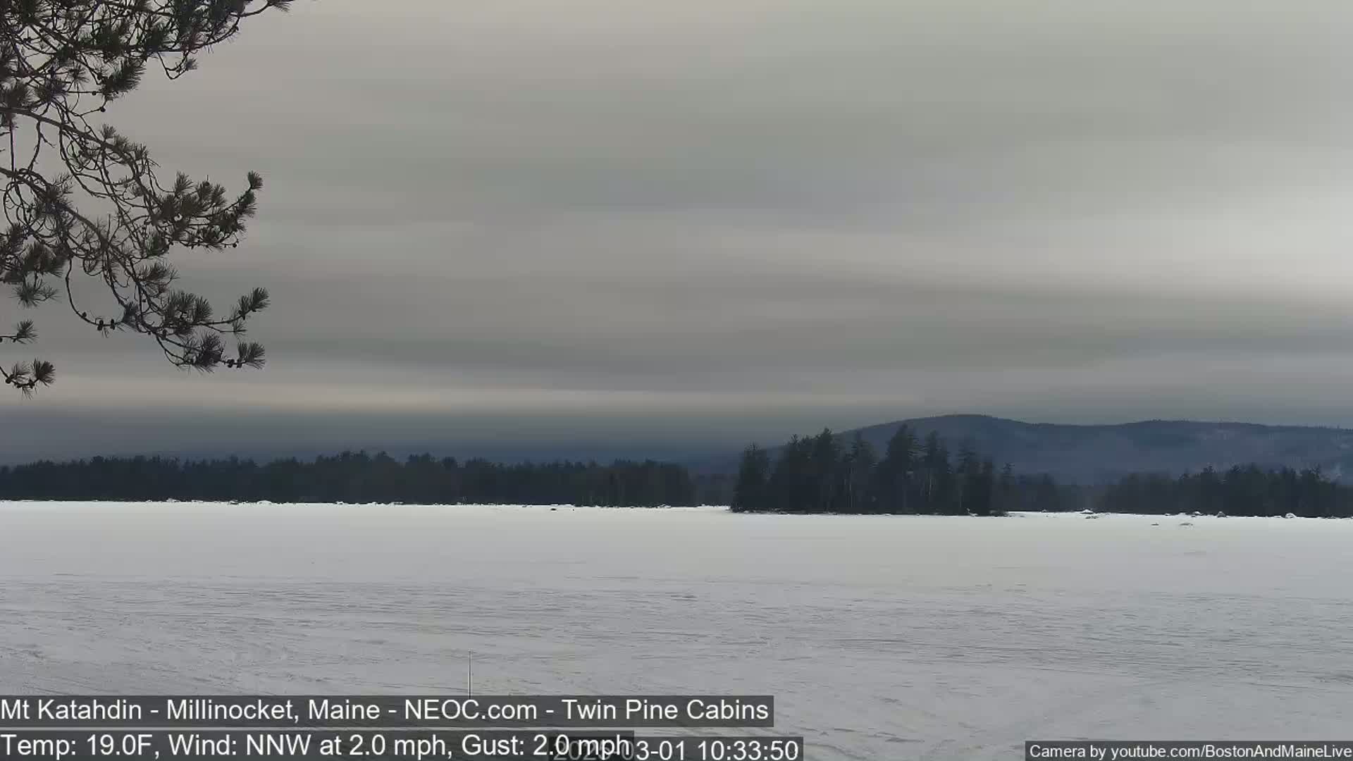 A snow-covered lake stretches to a dark treeline under an overcast sky.