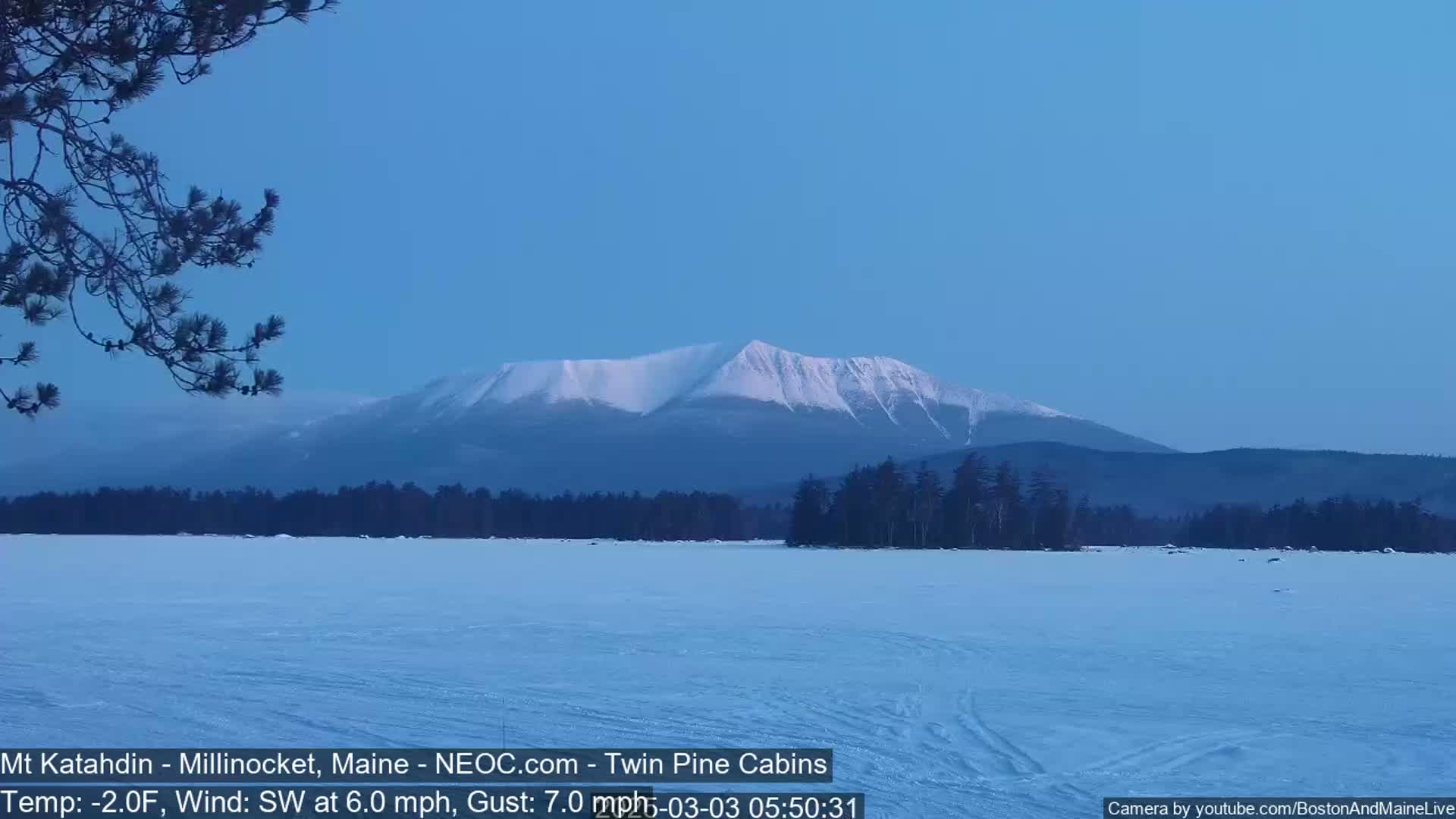 A snow-covered mountain is visible in the distance across a frozen lake under a clear, pale blue sky, with a tree branch in the foreground.