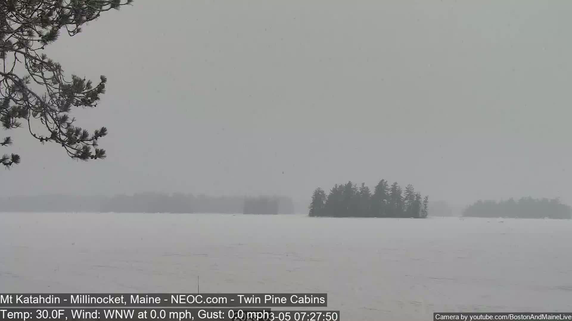 A snow-covered lake is visible, with a small island of dark trees in the distance under a gray, snowy sky.