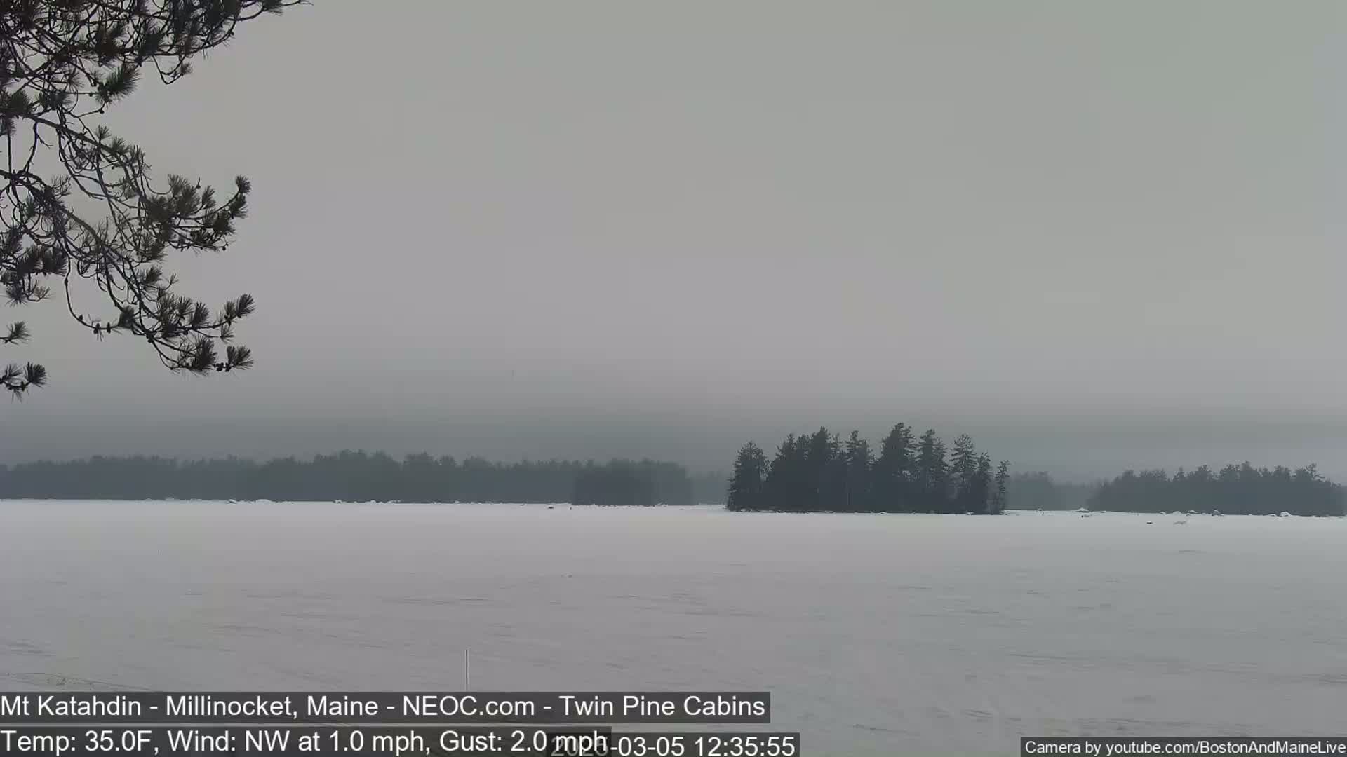 A snow-covered lake is seen under an overcast sky, with dark, distant trees lining the shoreline and a branch of a pine tree in the foreground.