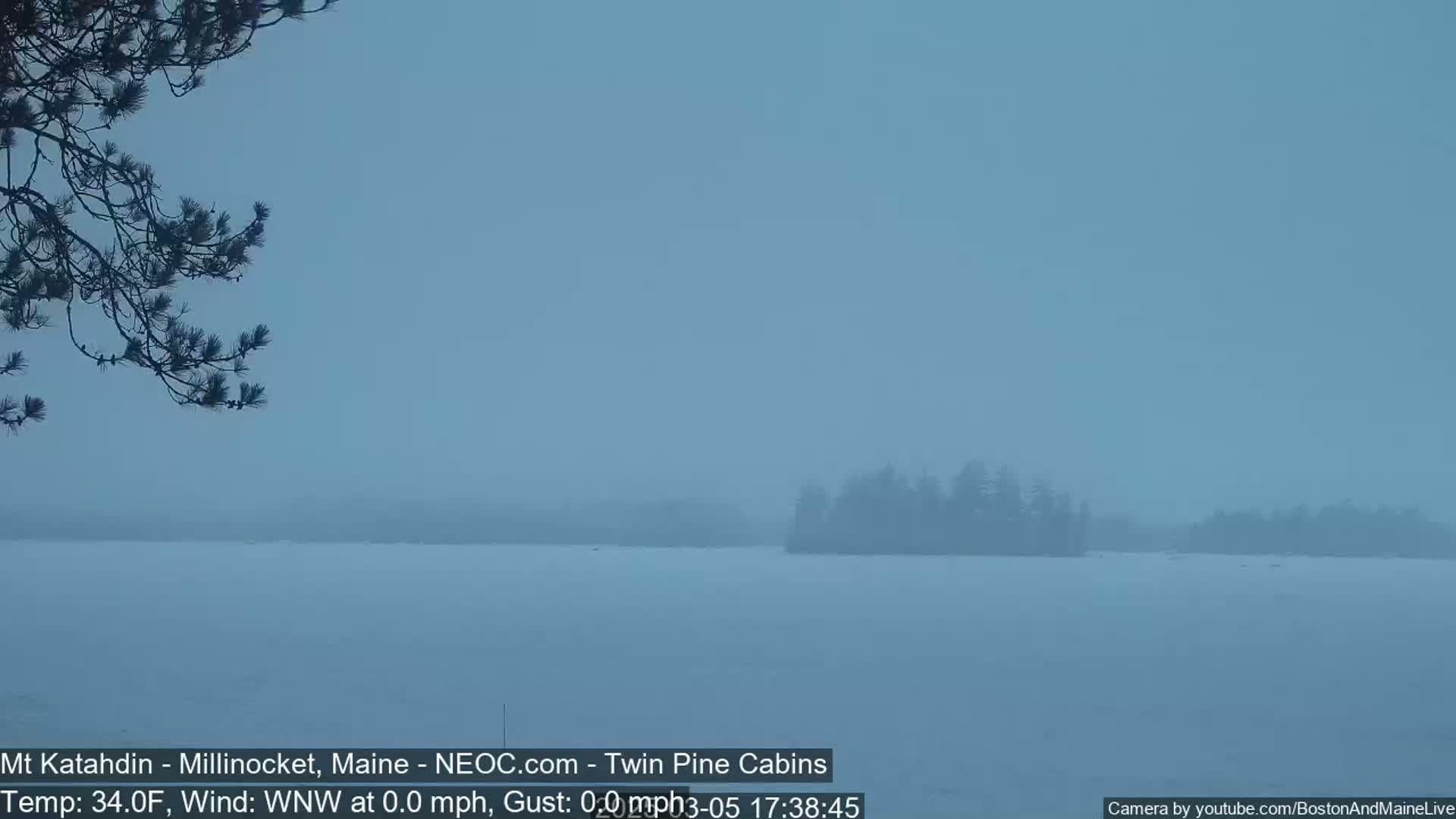 A snow-covered lake is visible under a hazy sky, with a distant island and a tree branch in the foreground.