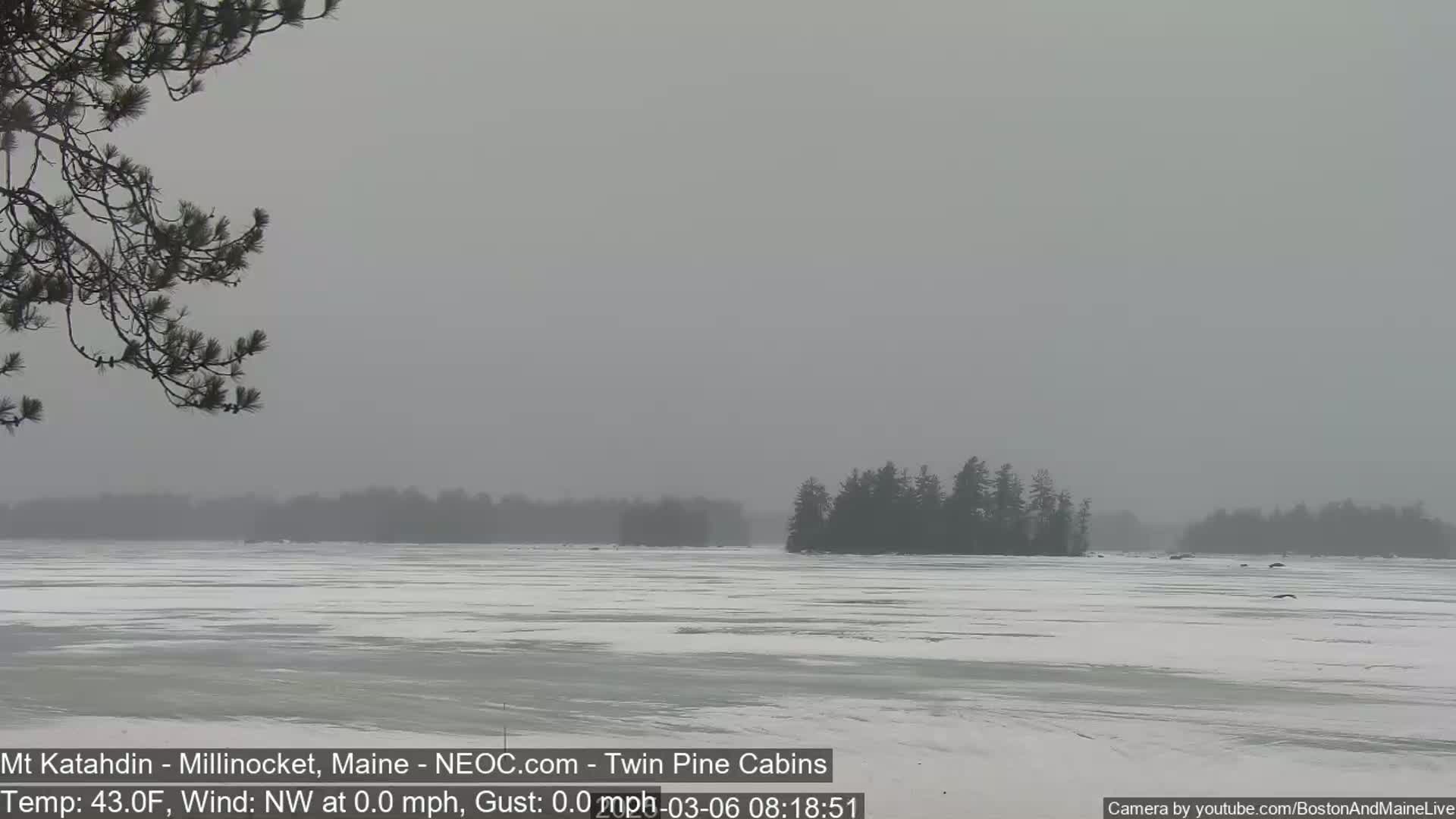 A snow-covered, frozen lake stretches to a distant treeline under an overcast sky.