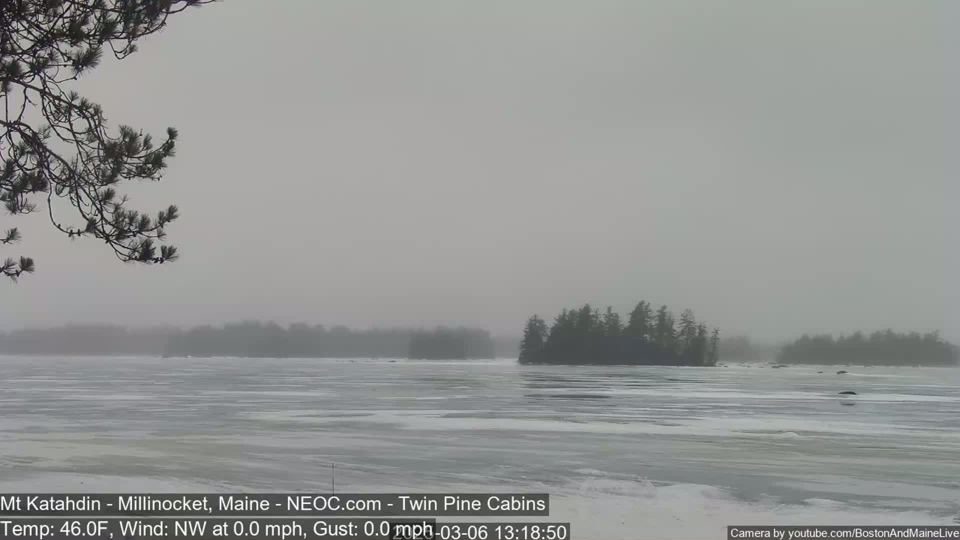 A mostly frozen lake is visible under a hazy, gray sky, with a small island of dark trees in the distance and a pine branch in the foreground.