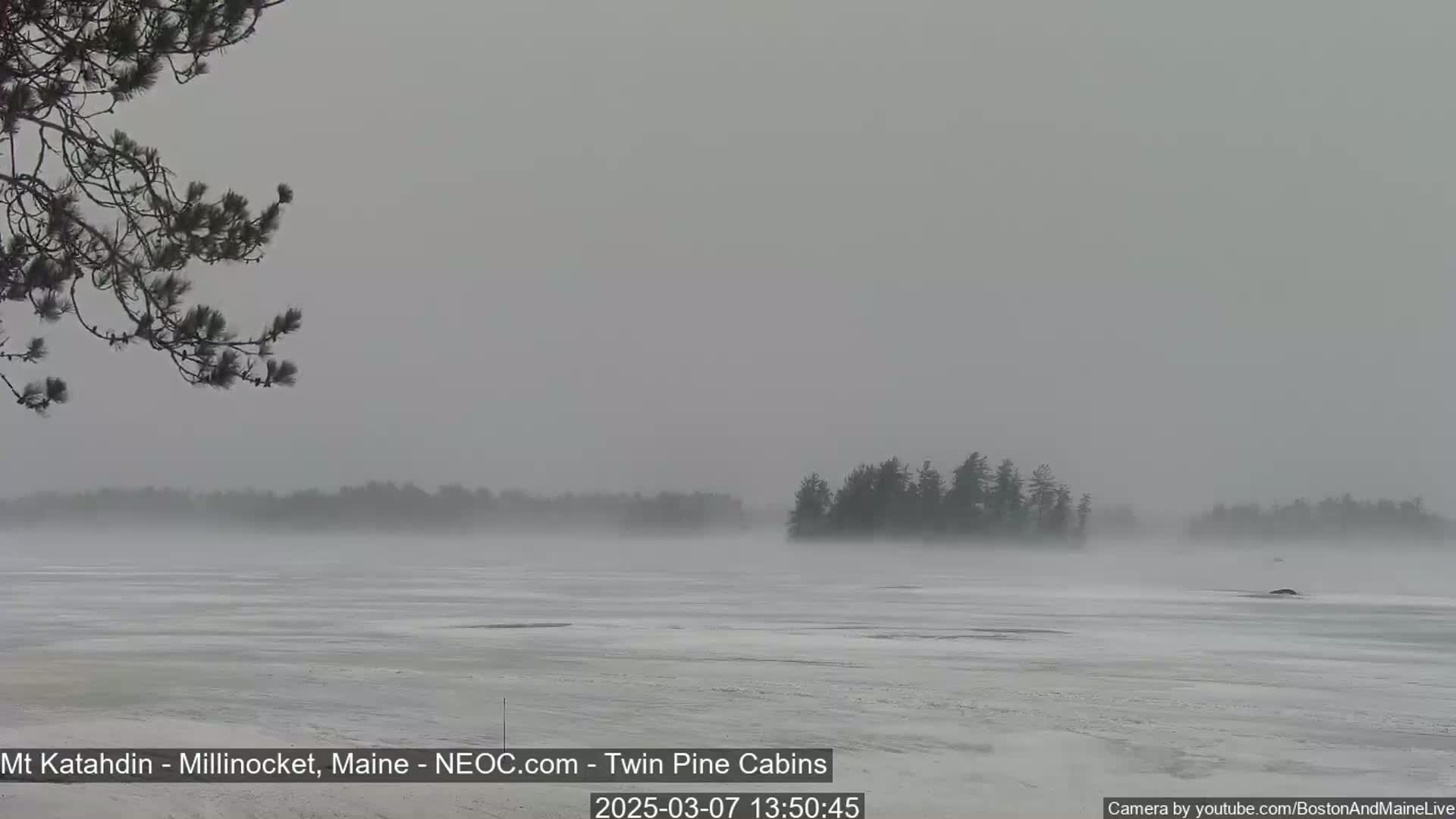 A snow-covered, frozen lake is visible under a heavy, overcast sky, with a few distant trees barely discernible through blowing snow.