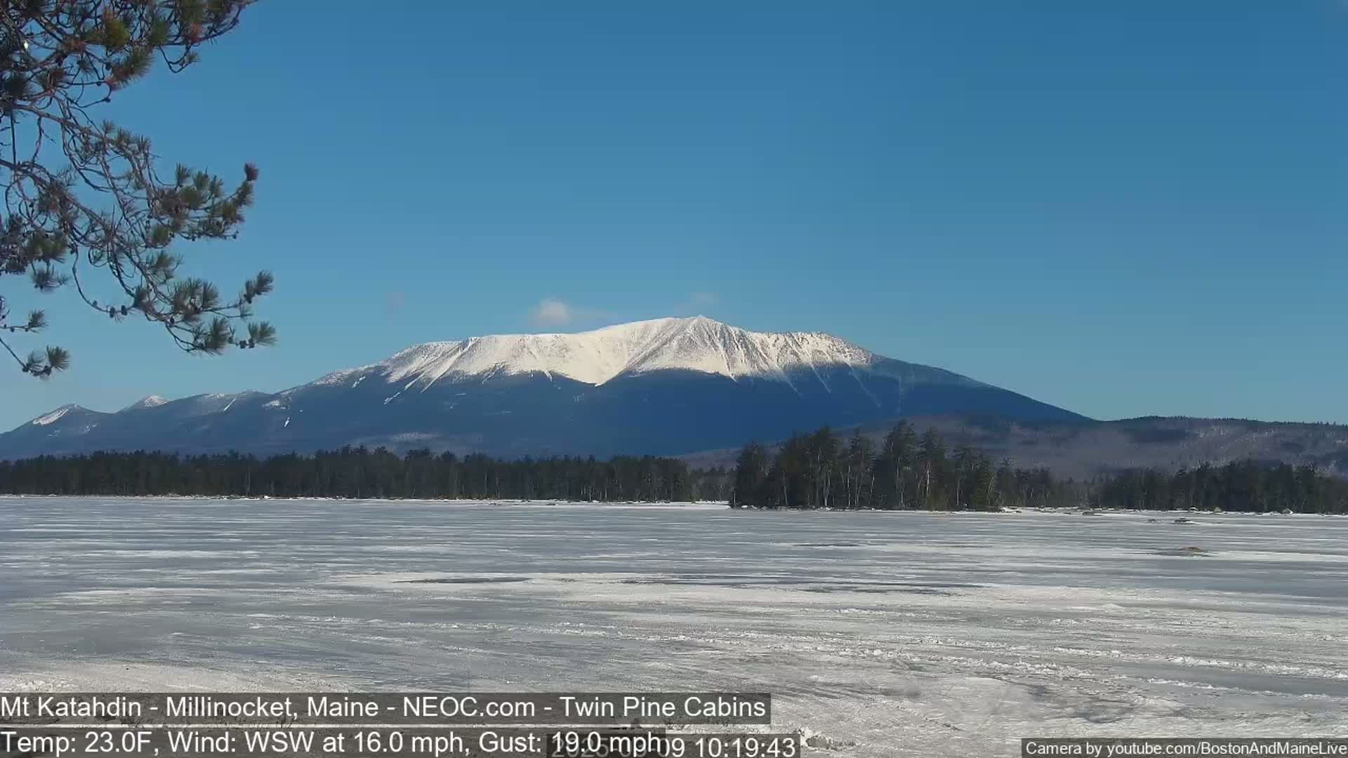 A snow-covered mountain range is visible in the distance across a frozen lake under a clear blue sky.