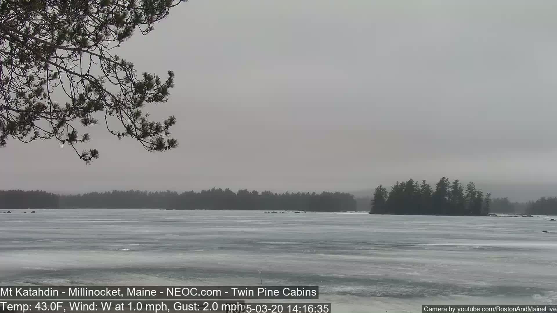 A partially frozen lake is seen under an overcast sky with a gentle westerly wind, featuring a tree branch in the foreground and a distant island covered in trees.