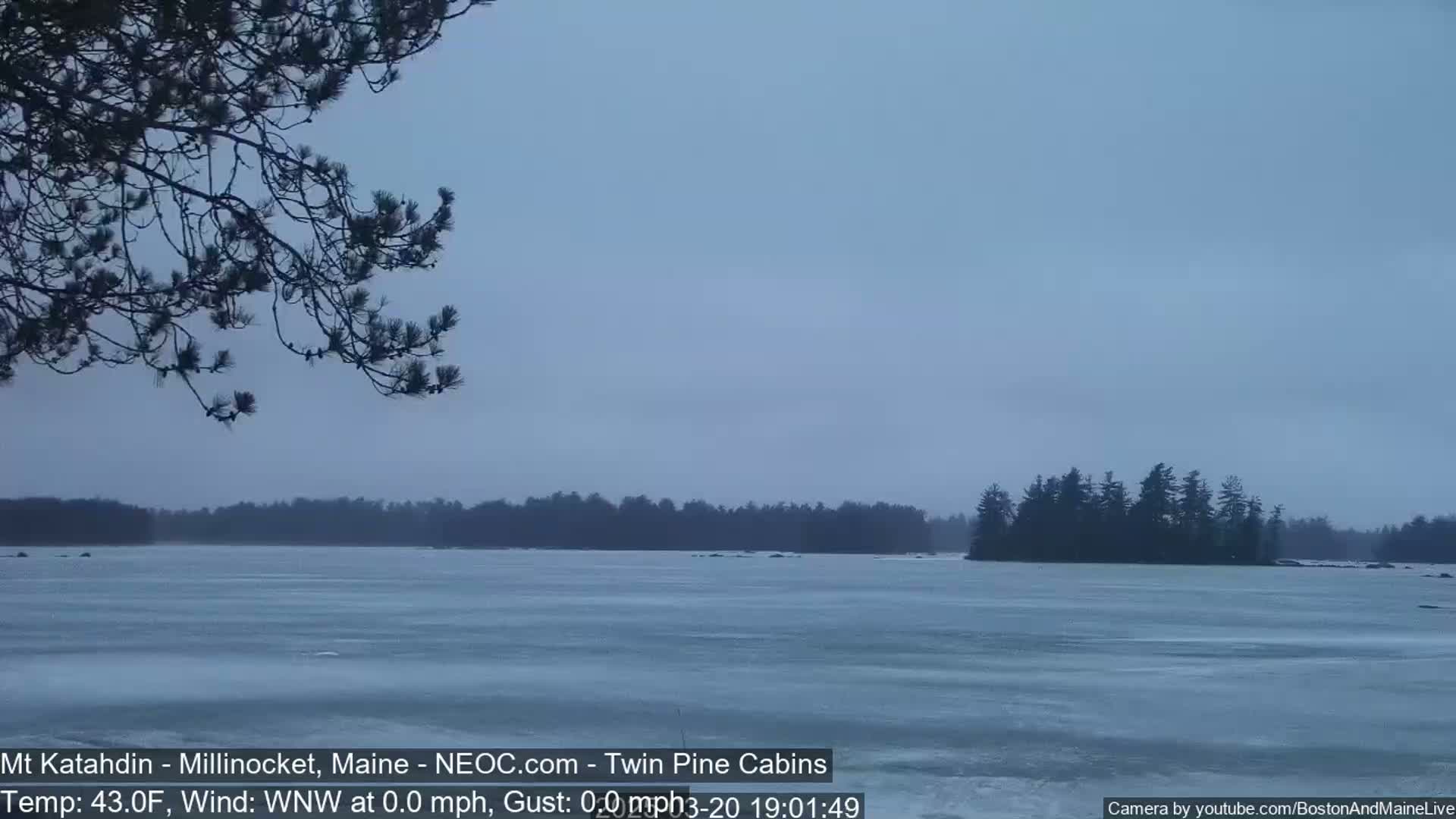 A partially frozen lake is seen under an overcast sky, with a tree branch in the foreground and a distant treeline.