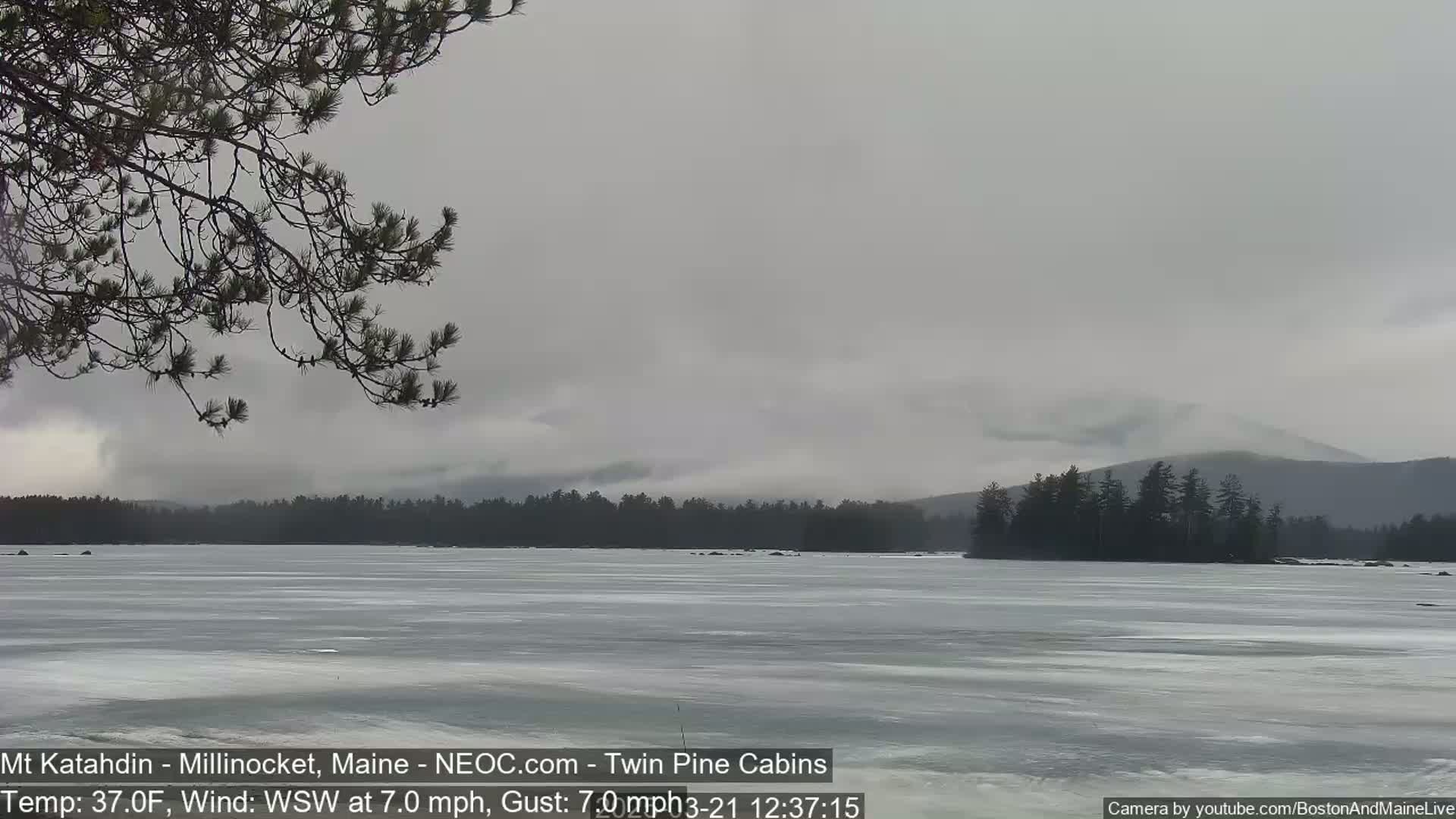 A frozen lake stretches out before a line of dark trees and a distant mountain under an overcast sky.