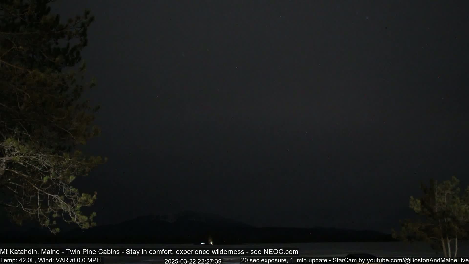 A nighttime scene shows dark silhouettes of trees framing a dark sky speckled with stars, and a distant, dimly lit mountain range.