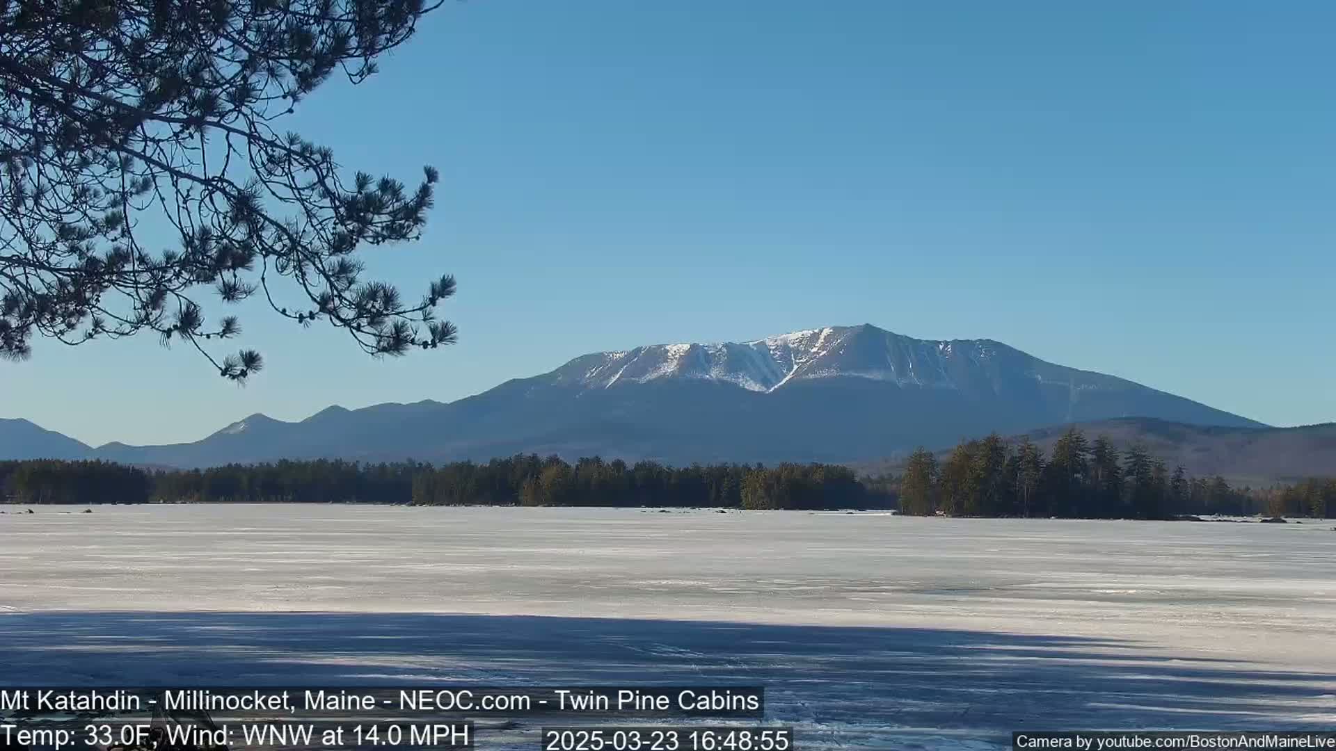 A snow-capped mountain range is visible in the distance across a frozen lake under a clear blue sky, with a partially visible tree branch in the foreground.