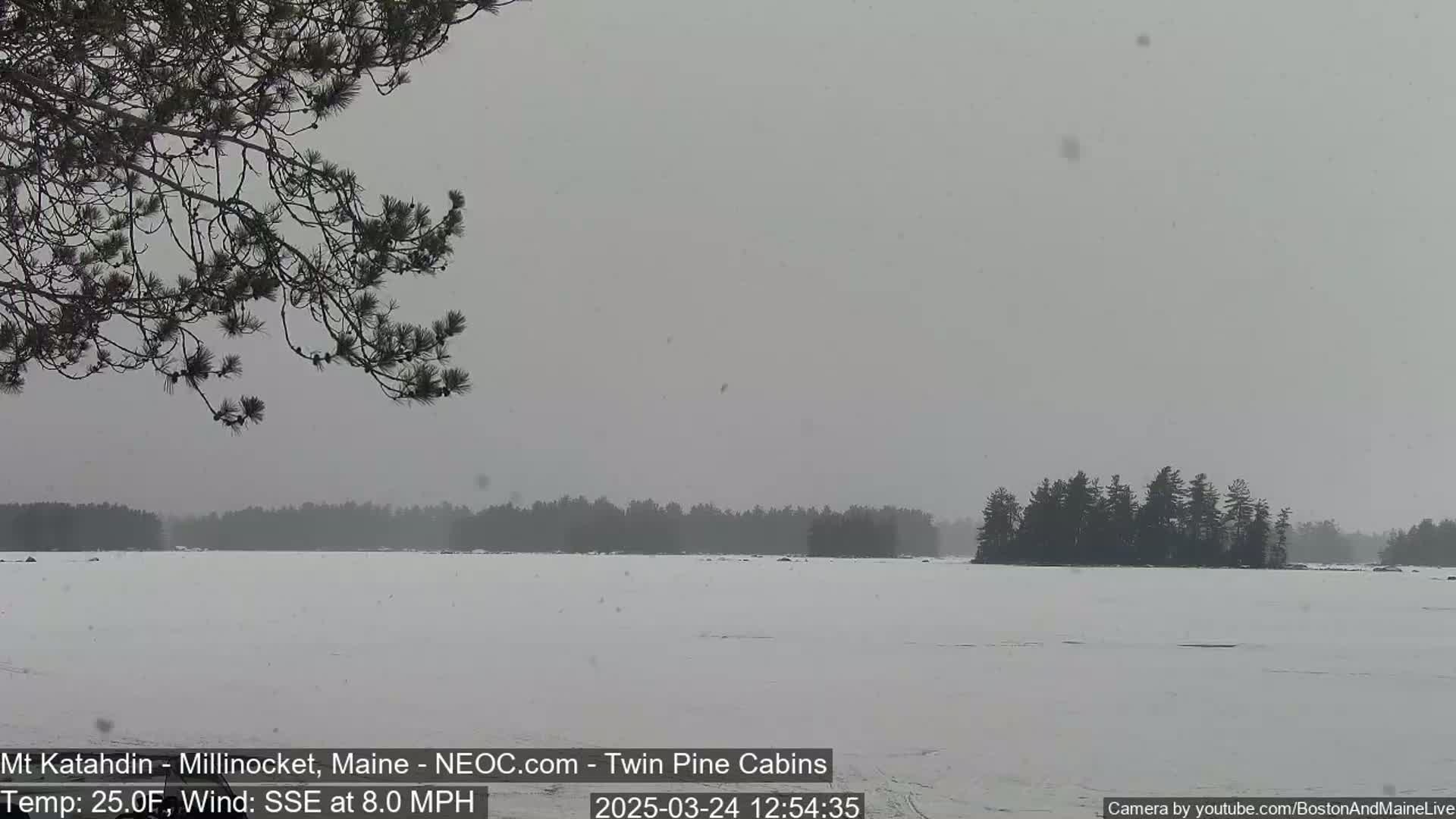 A snow-covered frozen lake is seen under a lightly snowing gray sky, with a dark tree line in the background and a tree branch in the foreground.