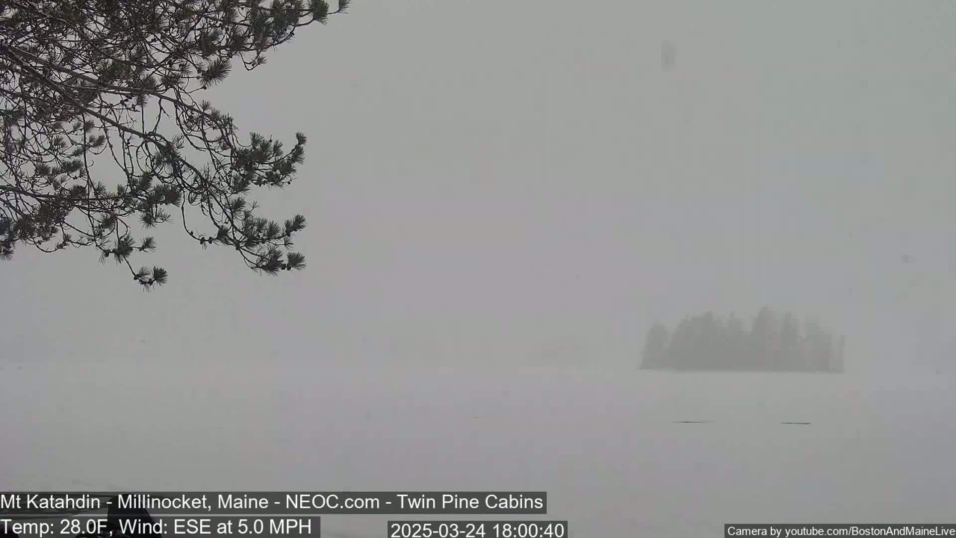 A snow-covered landscape is visible, with a small island shrouded in fog in the distance, and a dark tree branch in the foreground under a hazy sky.