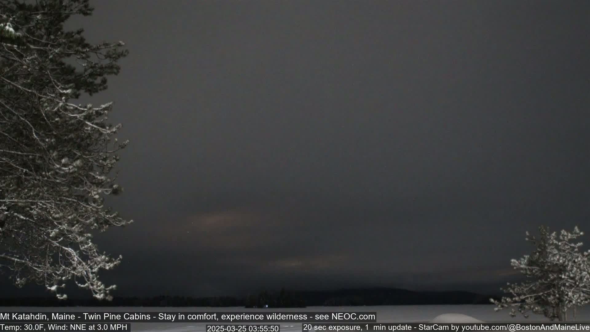 Snow-covered trees frame a dark, night sky over a calm body of water and a distant, low-lying landmass.