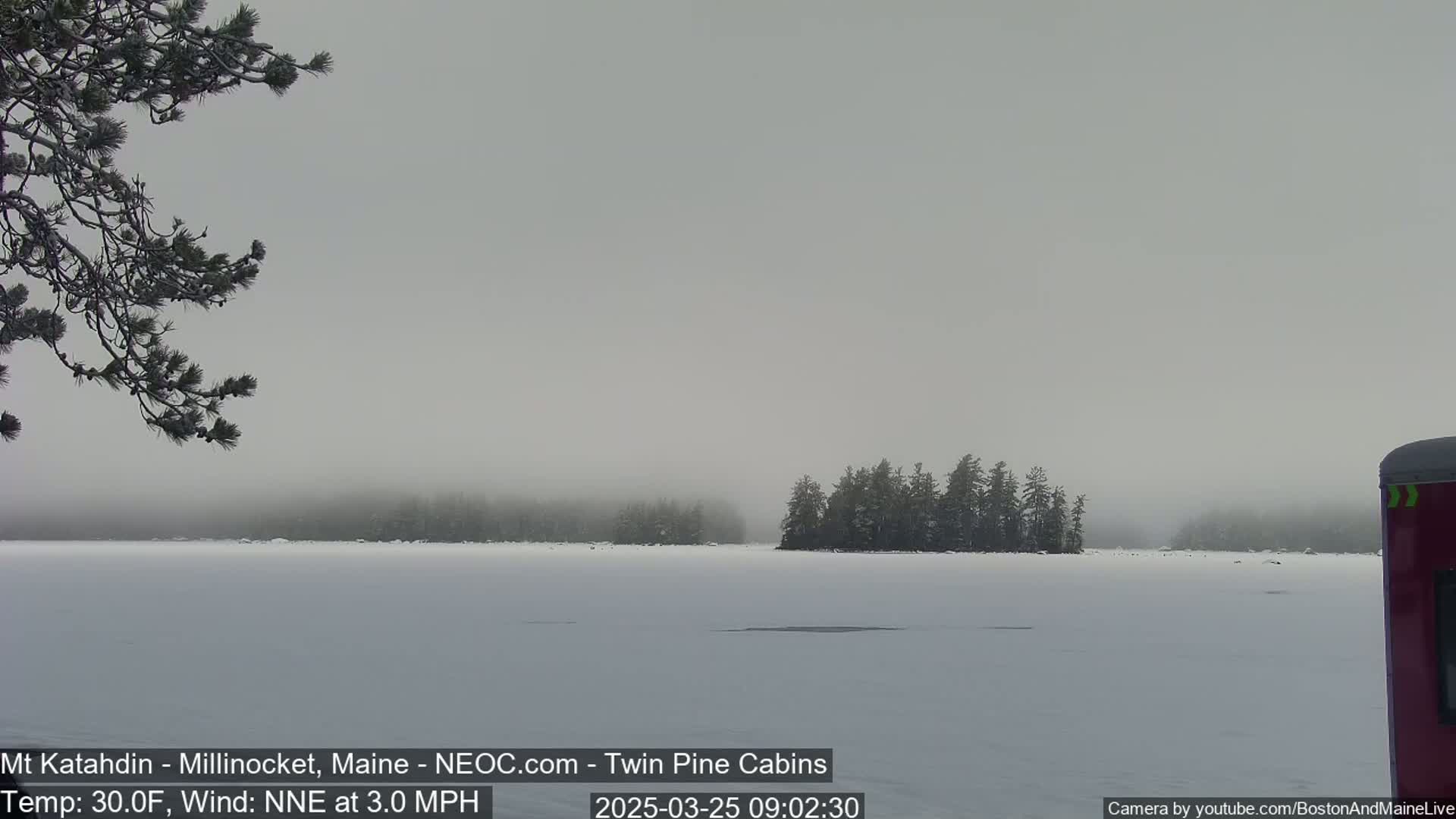 A snow-covered lake is visible under a foggy sky, with a snow-covered island and a tree branch in the foreground.
