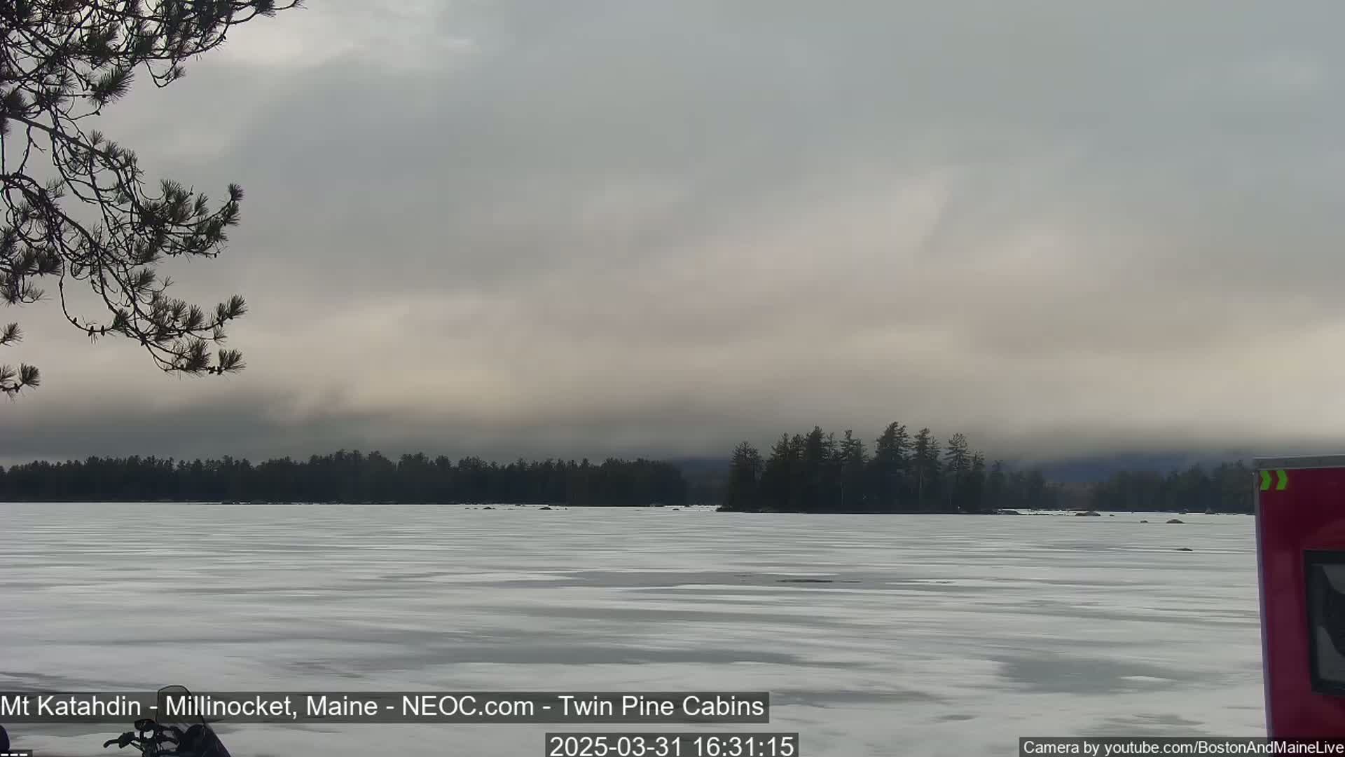 A frozen lake is visible under an overcast sky, with a dark treeline in the background.