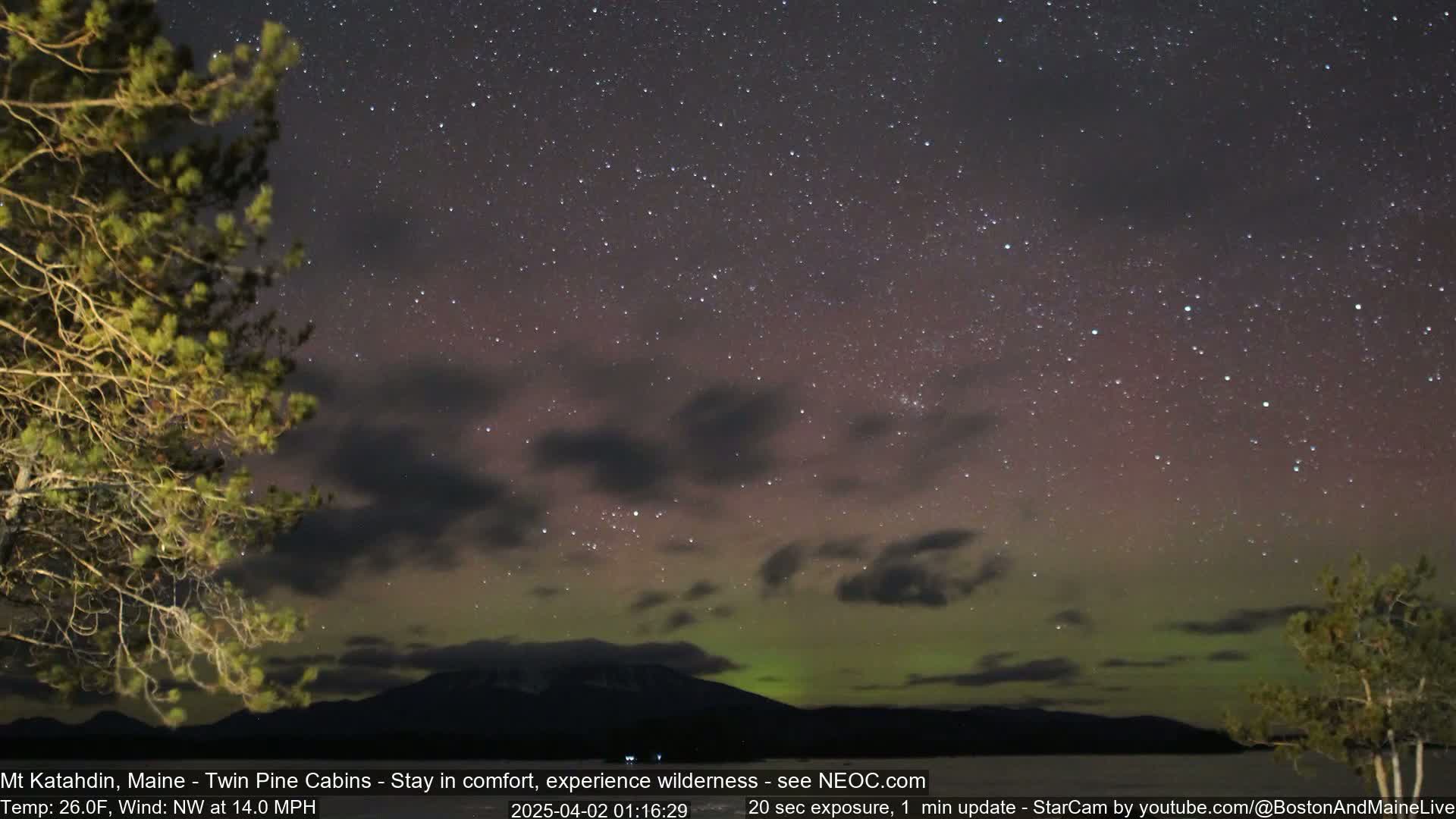 A nighttime landscape shows a dark mountain range under a starry sky with a vibrant aurora borealis display, partially obscured by clouds, and a tree in the foreground.