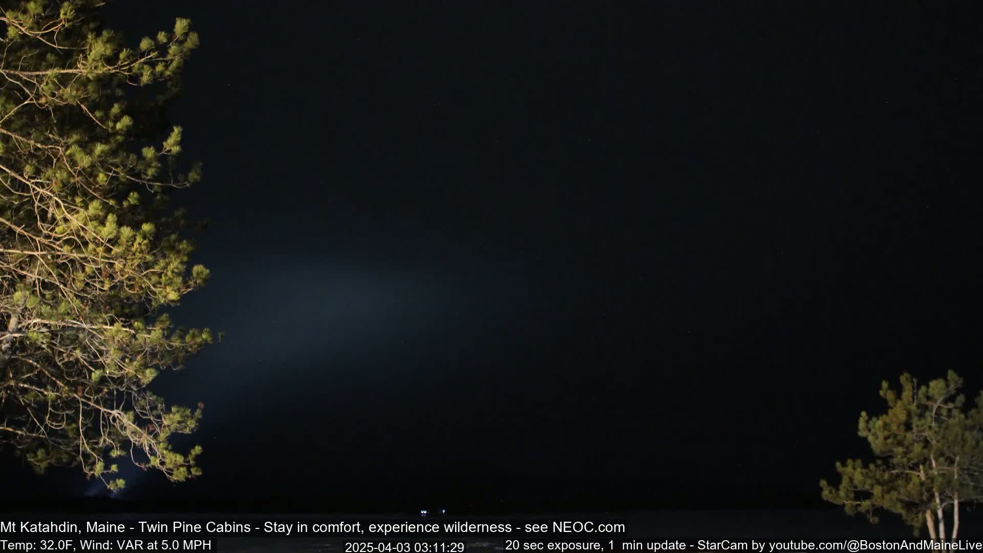 At night, a dark sky is visible between two pine trees, one on the left and one on the right.