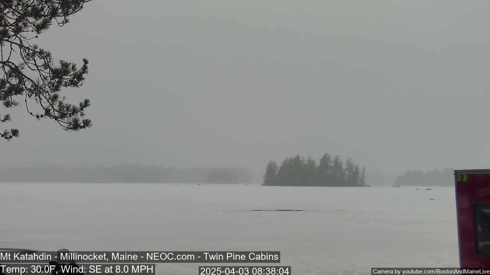 A snow-covered lake is seen through a hazy atmosphere, with a small island of dark trees in the mid-ground and a branch of a pine tree in the foreground; the weather is 30°F with a southeasterly wind of 8 mph.