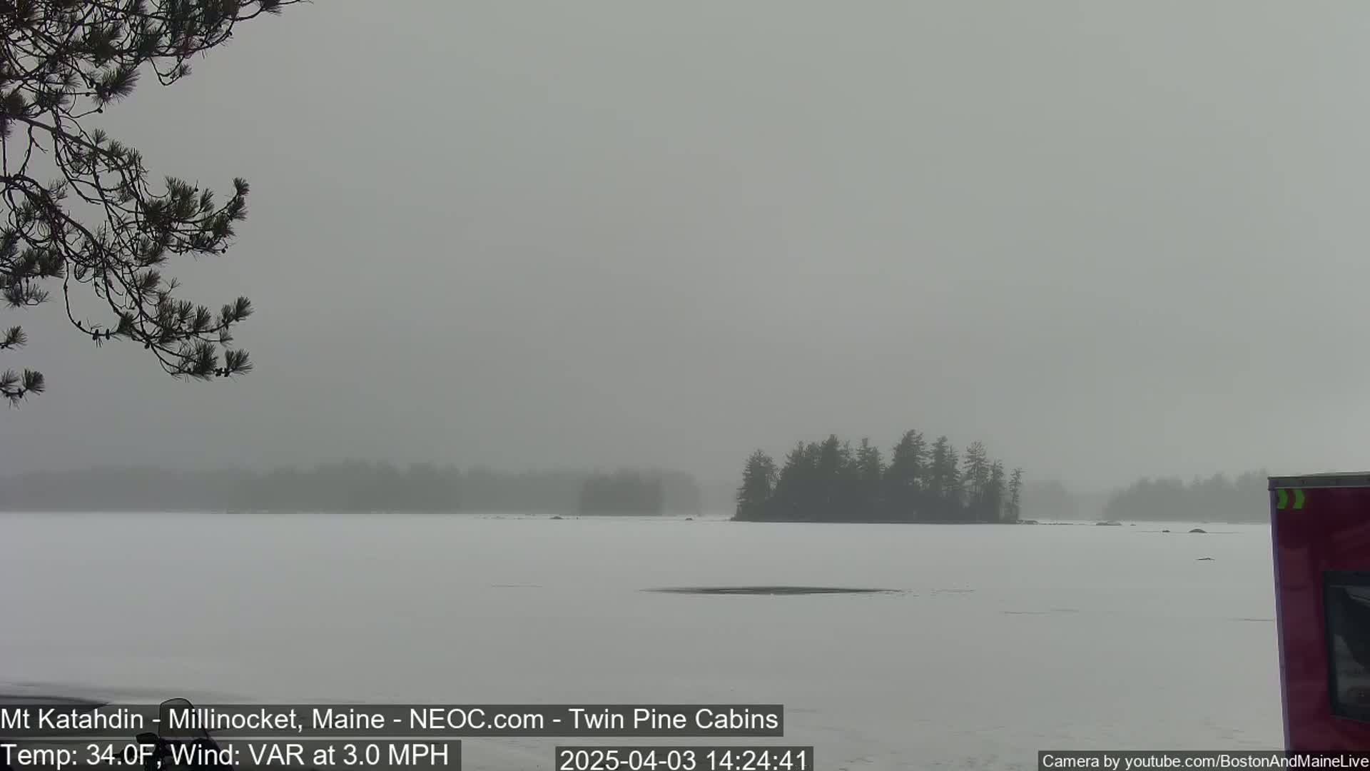 A snow-covered, foggy lake is visible, with a small island of dark trees in the distance and a branch of pine trees in the foreground.