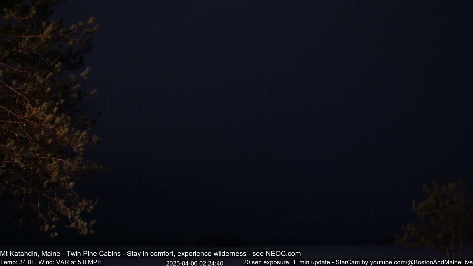 A nighttime long-exposure image shows a dark body of water under a nearly clear, dark blue sky, partially framed by the silhouettes of evergreen trees.