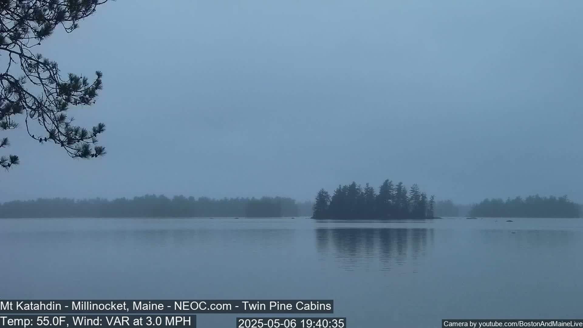 A calm, foggy lake is shown with a small island of dark evergreen trees in the middle distance, and a tree branch in the foreground.