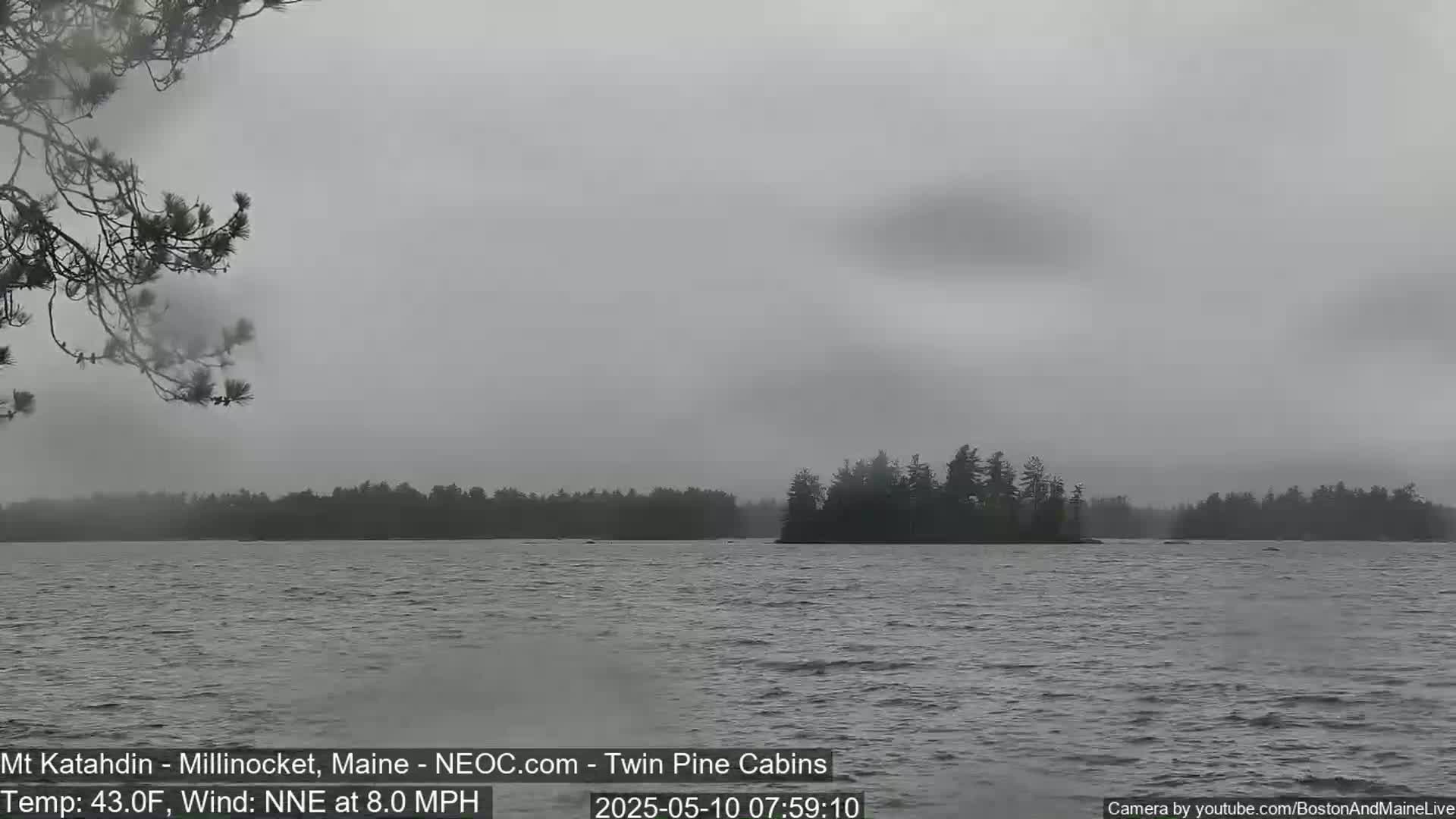 A gray, overcast day shows a calm lake with a small island of dark trees in the middle distance, and a tree branch in the foreground.