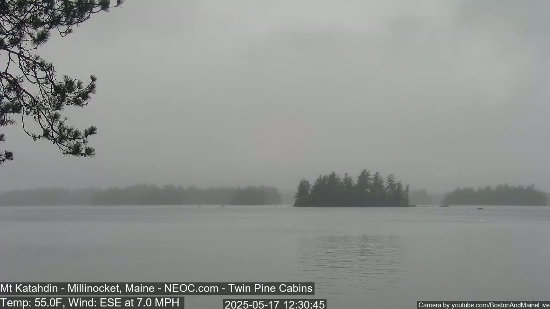 A foggy lake is visible with a small island in the distance, partially obscured by the mist.