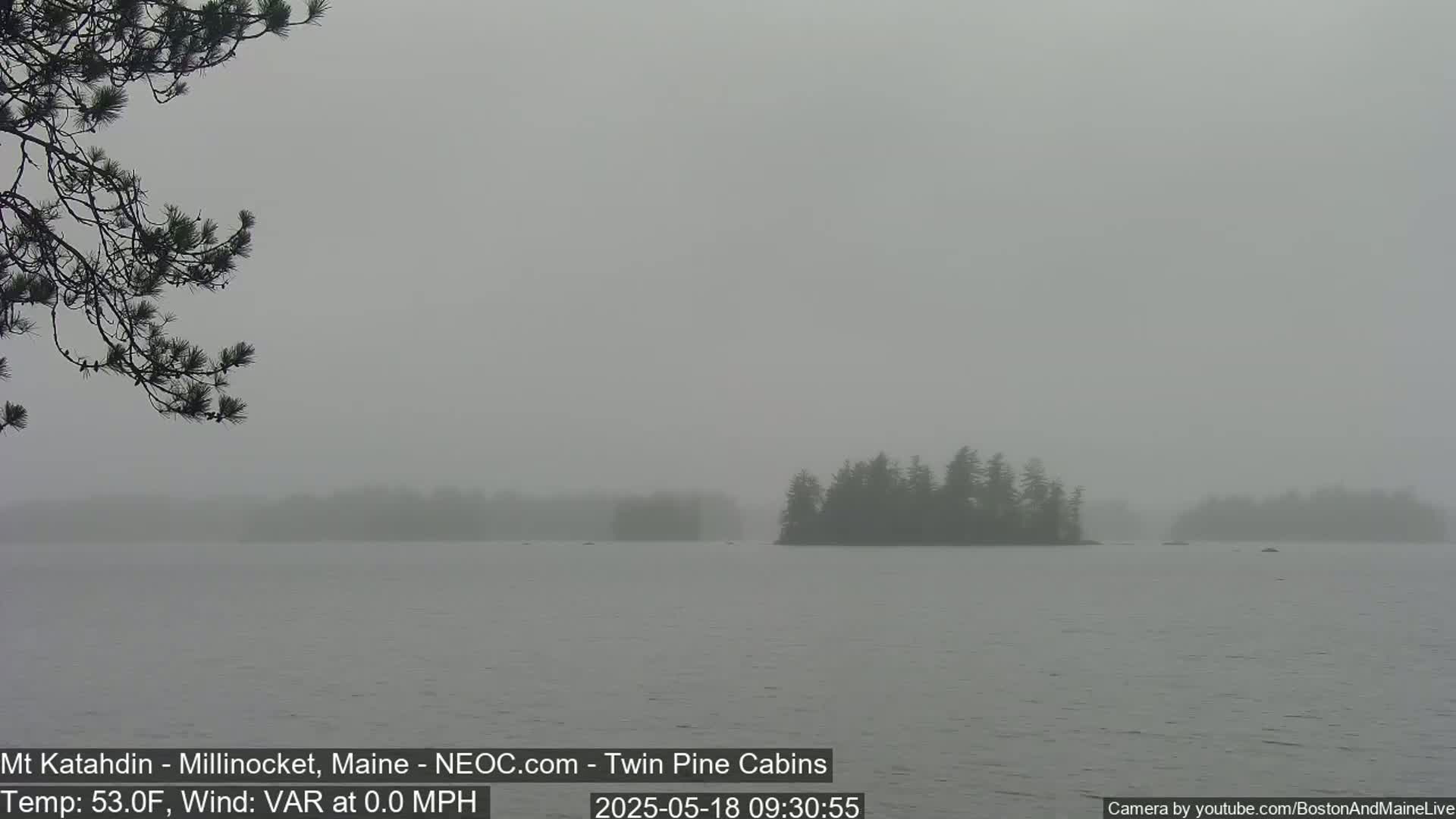 A foggy lake is shown with a few small islands covered in dark trees in the distance and a pine branch in the foreground.