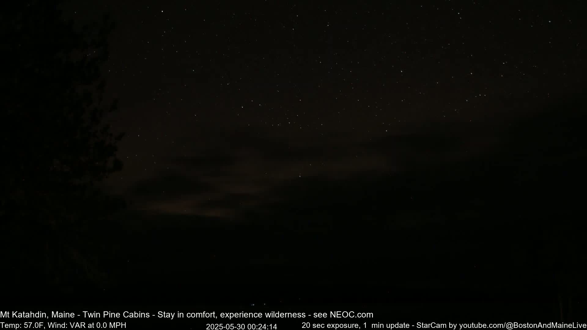 A nighttime landscape shows a dark silhouette of trees against a sky filled with stars and faint clouds.