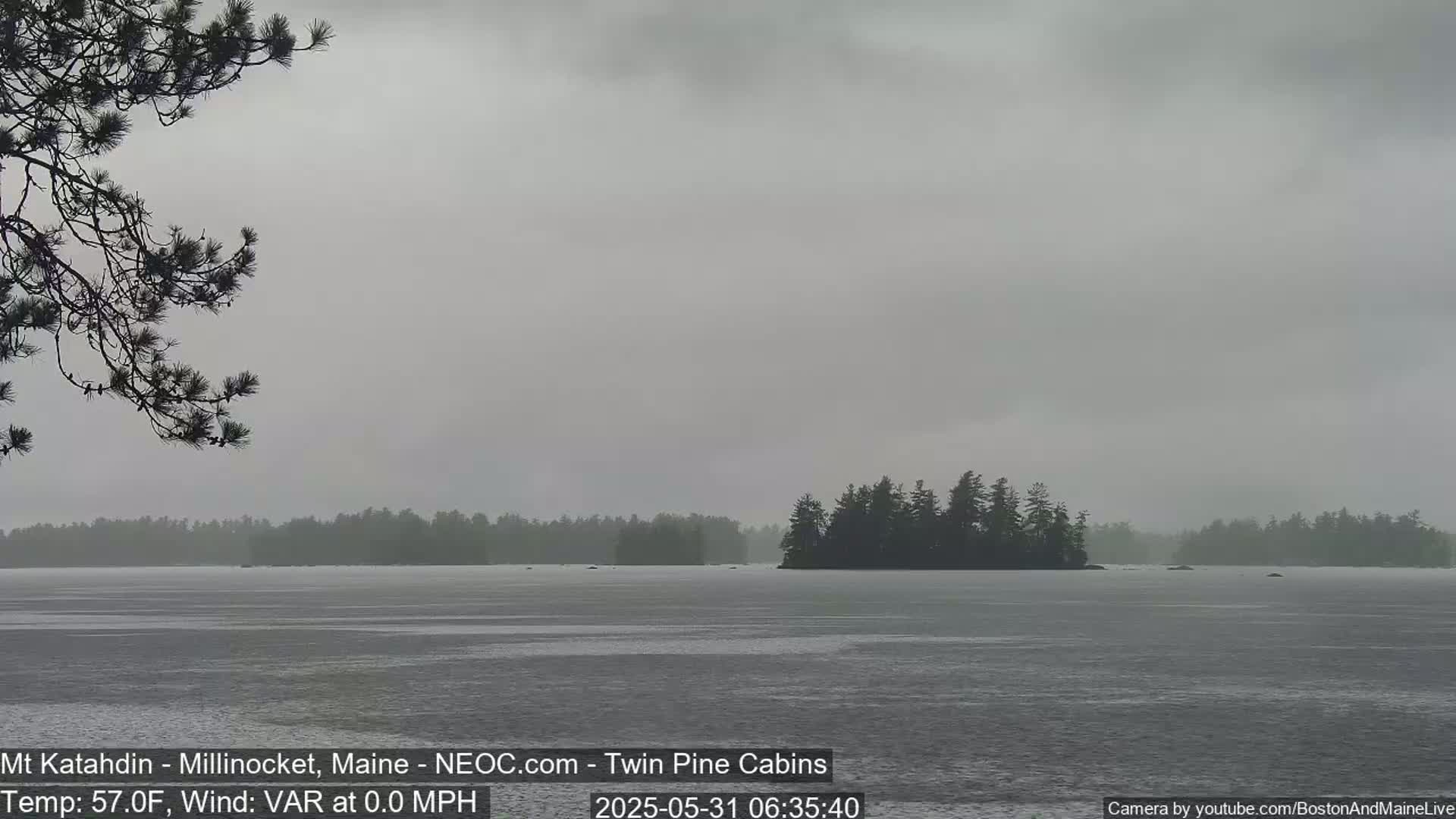 A calm, overcast lake is shown with a small island of dark trees in the distance, and a branch of a pine tree in the foreground.