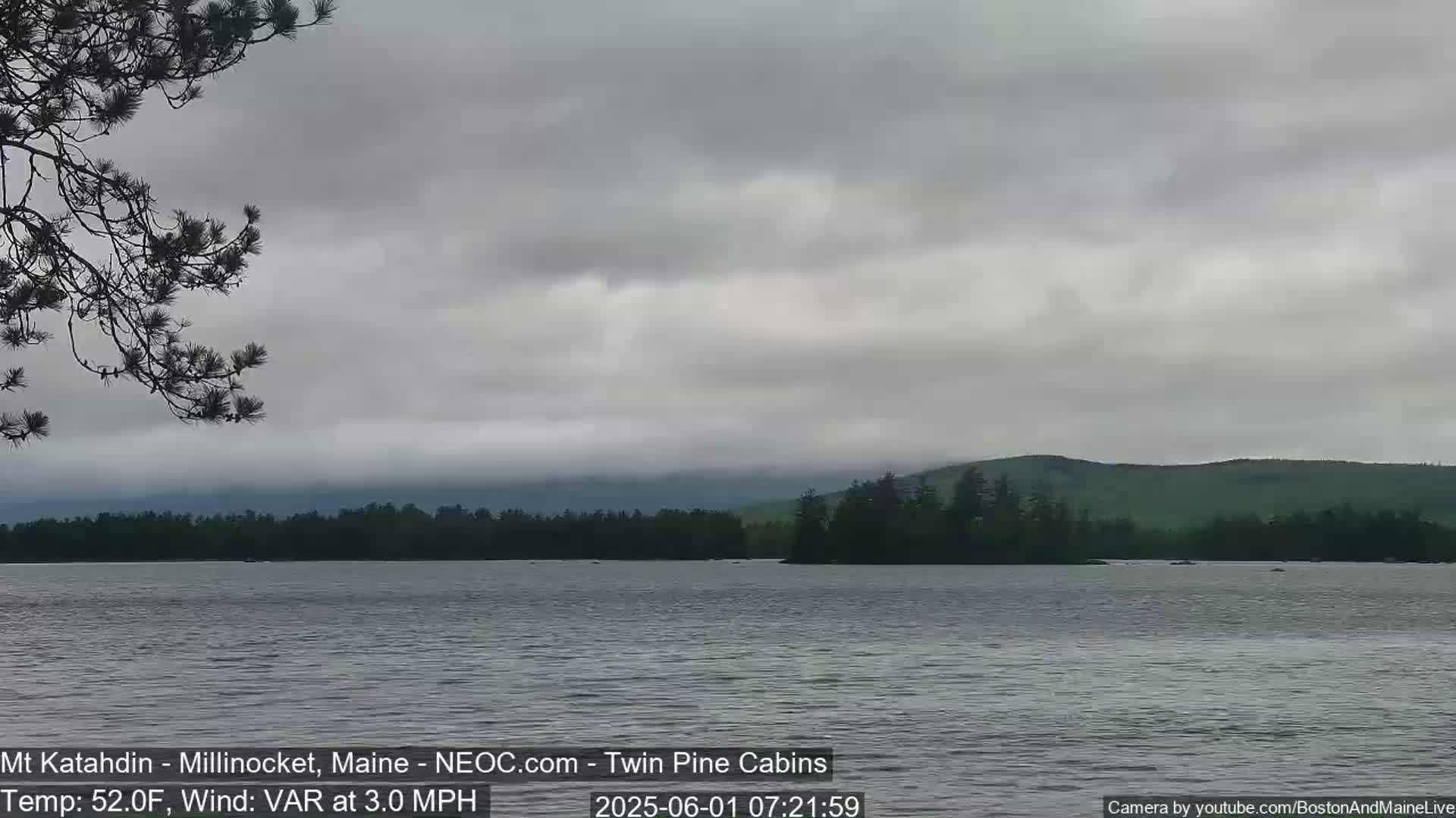 A calm lake under an overcast sky is seen from a lakeside vantage point, with a treeline and distant hills visible in the background.