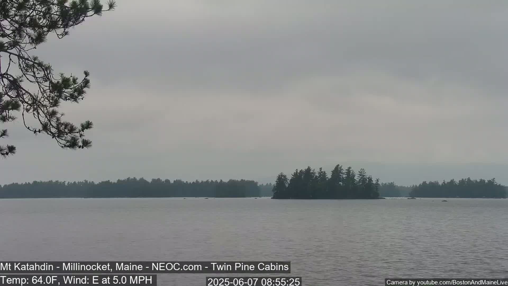 A calm lake with a small island covered in dark green trees is seen under an overcast sky.