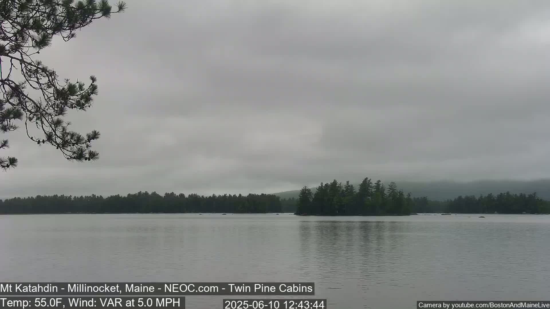 A calm lake under an overcast sky is surrounded by a dark green forest, with a small island visible in the middle distance.