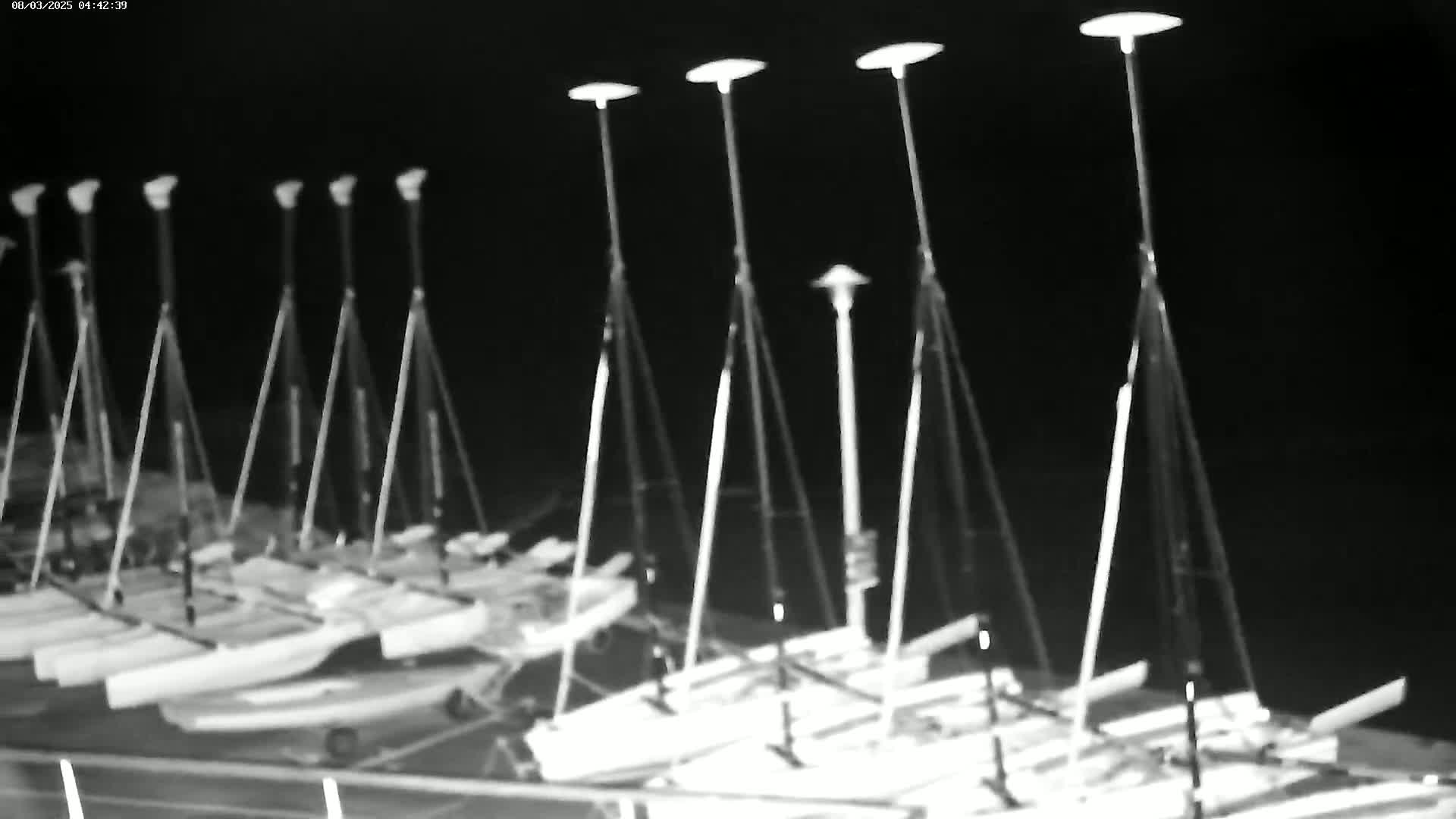Several sailboats are docked at night under artificial lights.