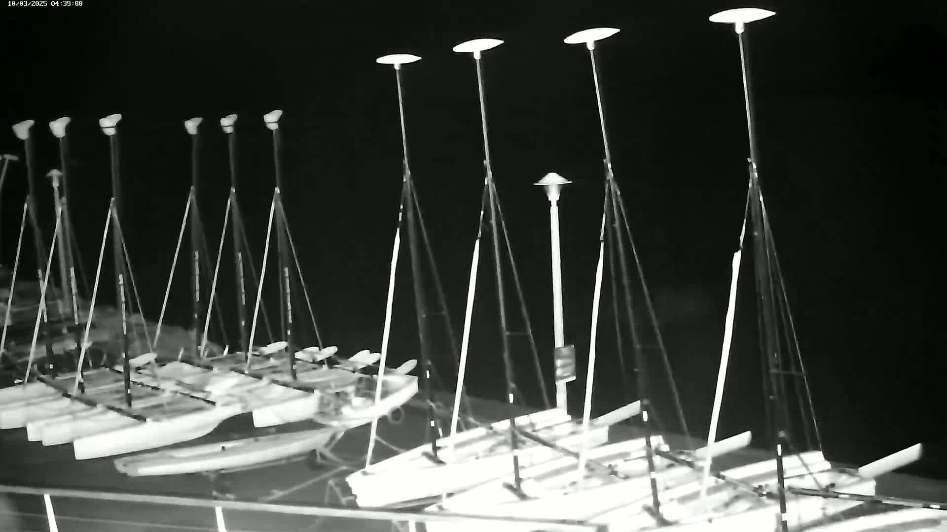 Several catamarans are docked at night under illuminated lights.