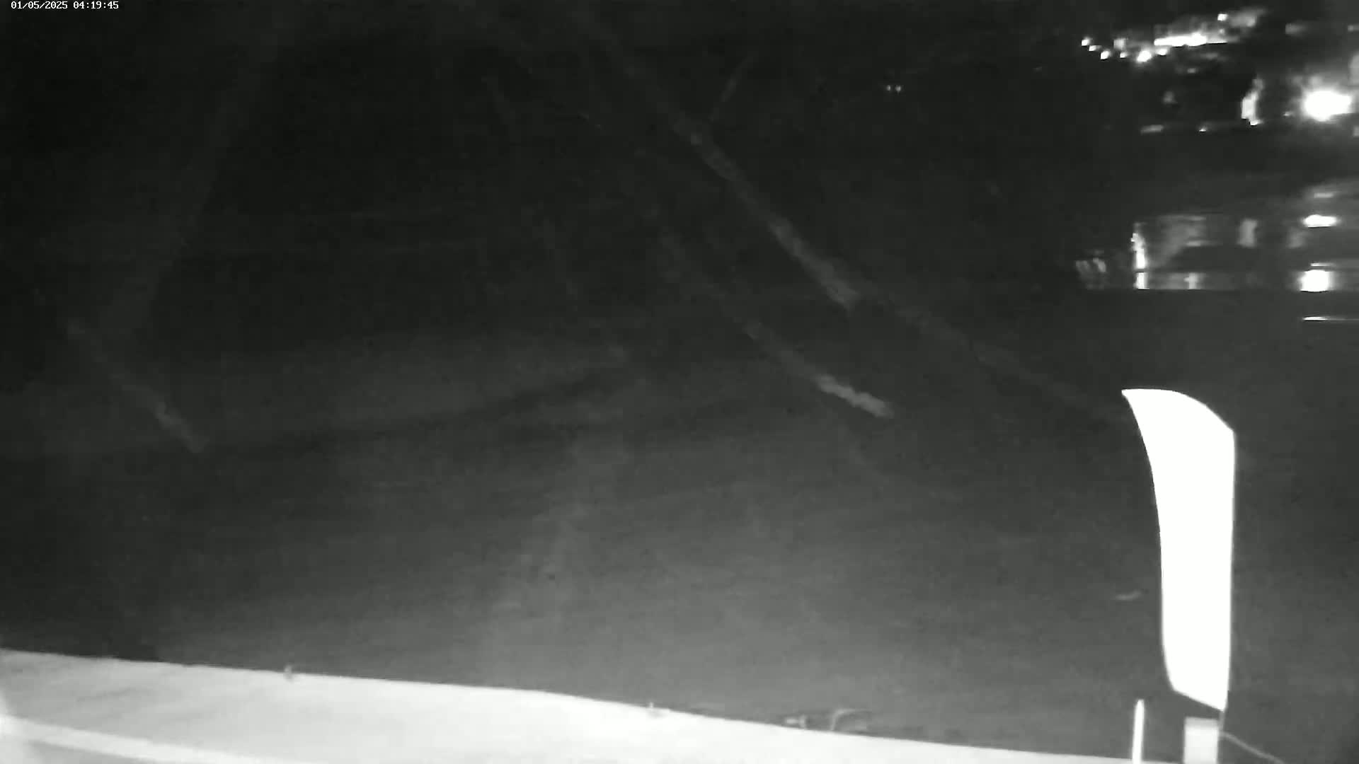 A nighttime, low-light grainy image shows a dark, possibly wooded area with indistinct shapes and a bright, vertical light source to the right.