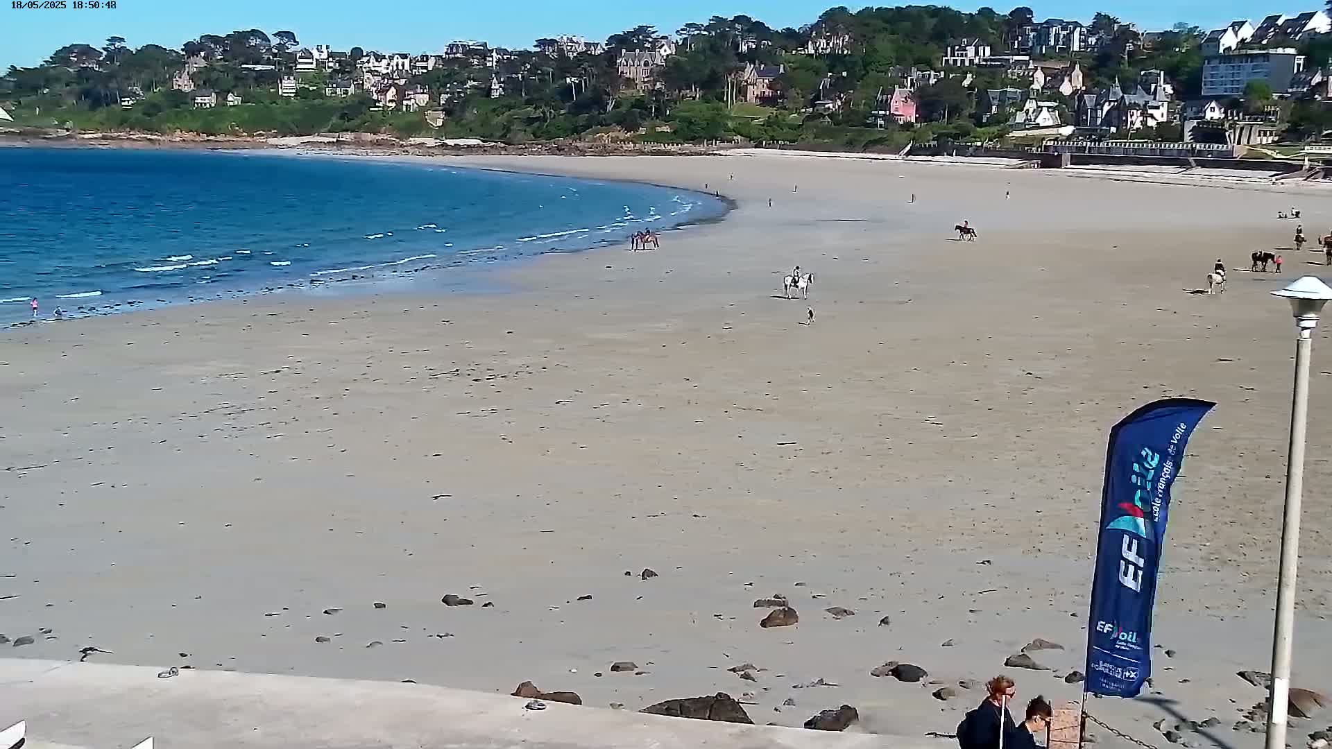 A sandy beach with a few people and horses on it, a calm blue ocean, and a residential area on a hill in the background under a sunny sky.