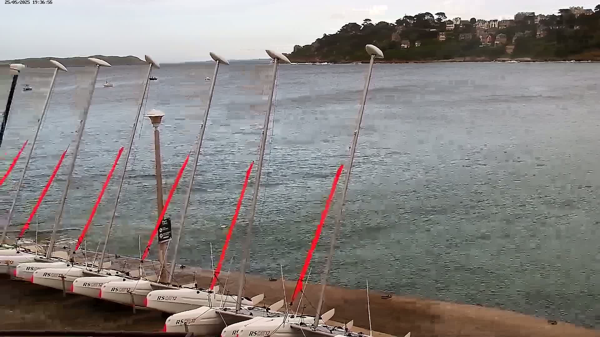 Several small sailboats are docked along a shoreline on a slightly overcast day with calm water.