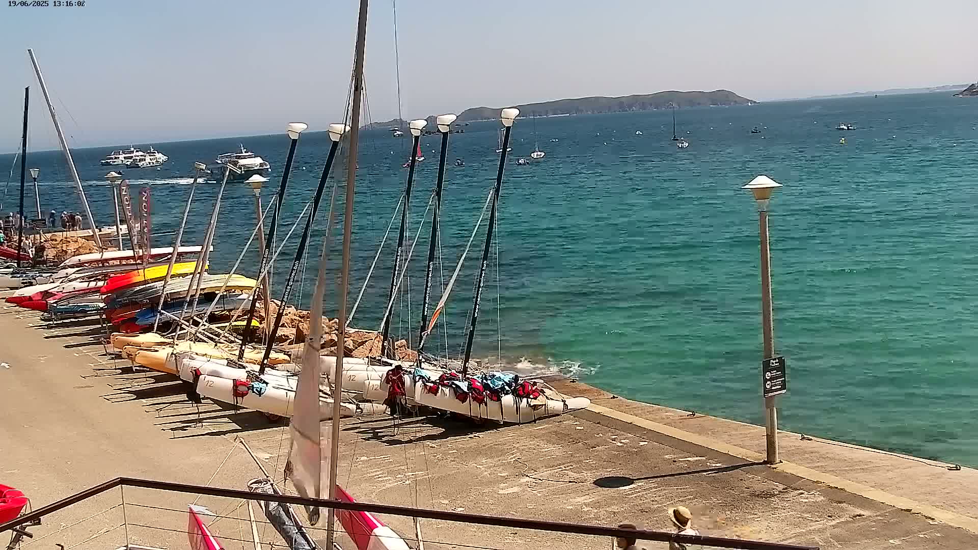 Numerous sailboats are docked along a shoreline on a sunny day with calm, teal-colored water and a distant island visible.
