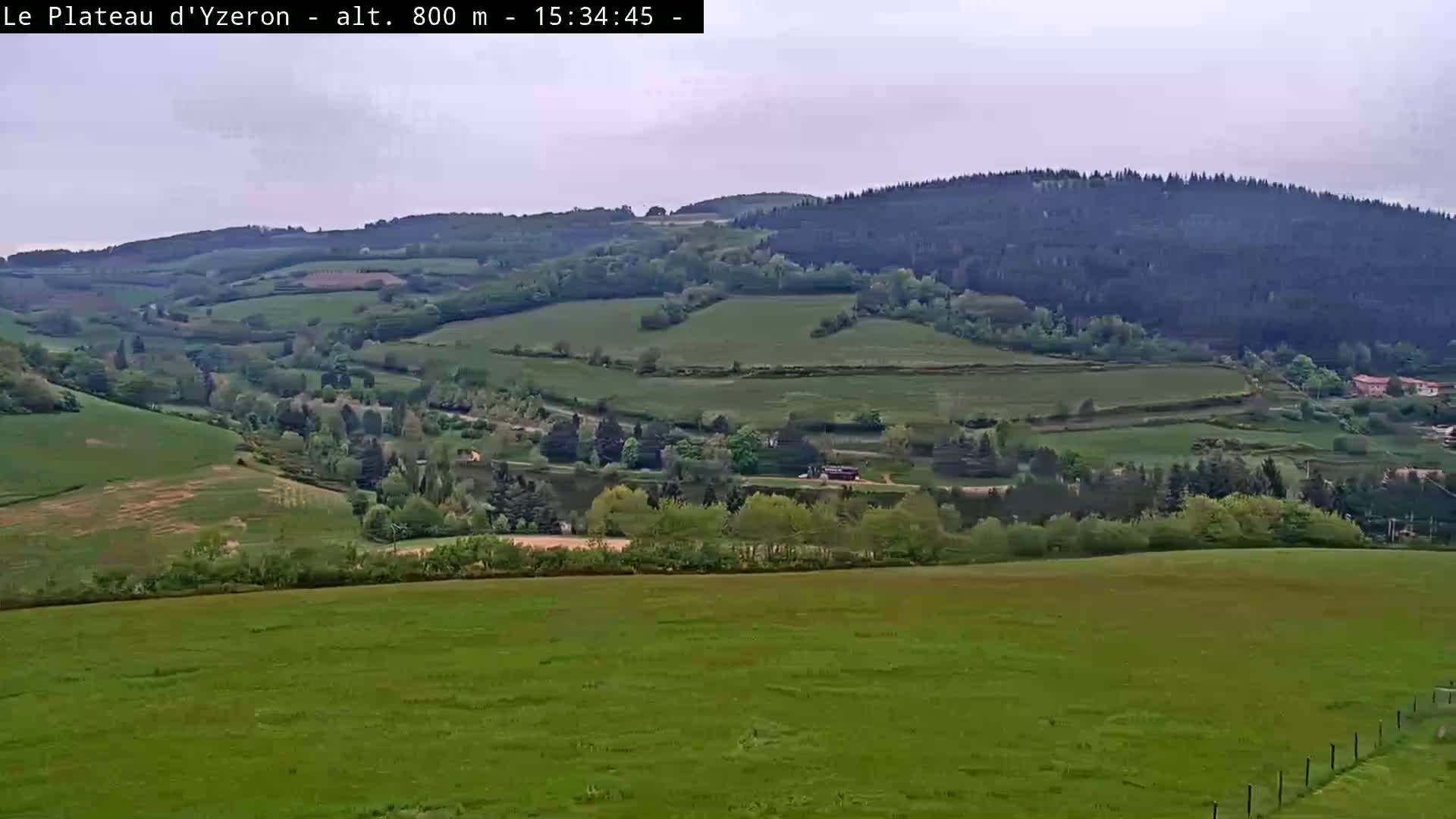 A sprawling green valley with rolling hills and scattered trees under an overcast sky.
