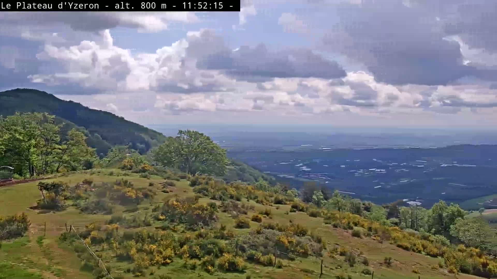 A grassy hillside with scattered shrubs and trees overlooks a vast, hazy valley under a partly cloudy sky.