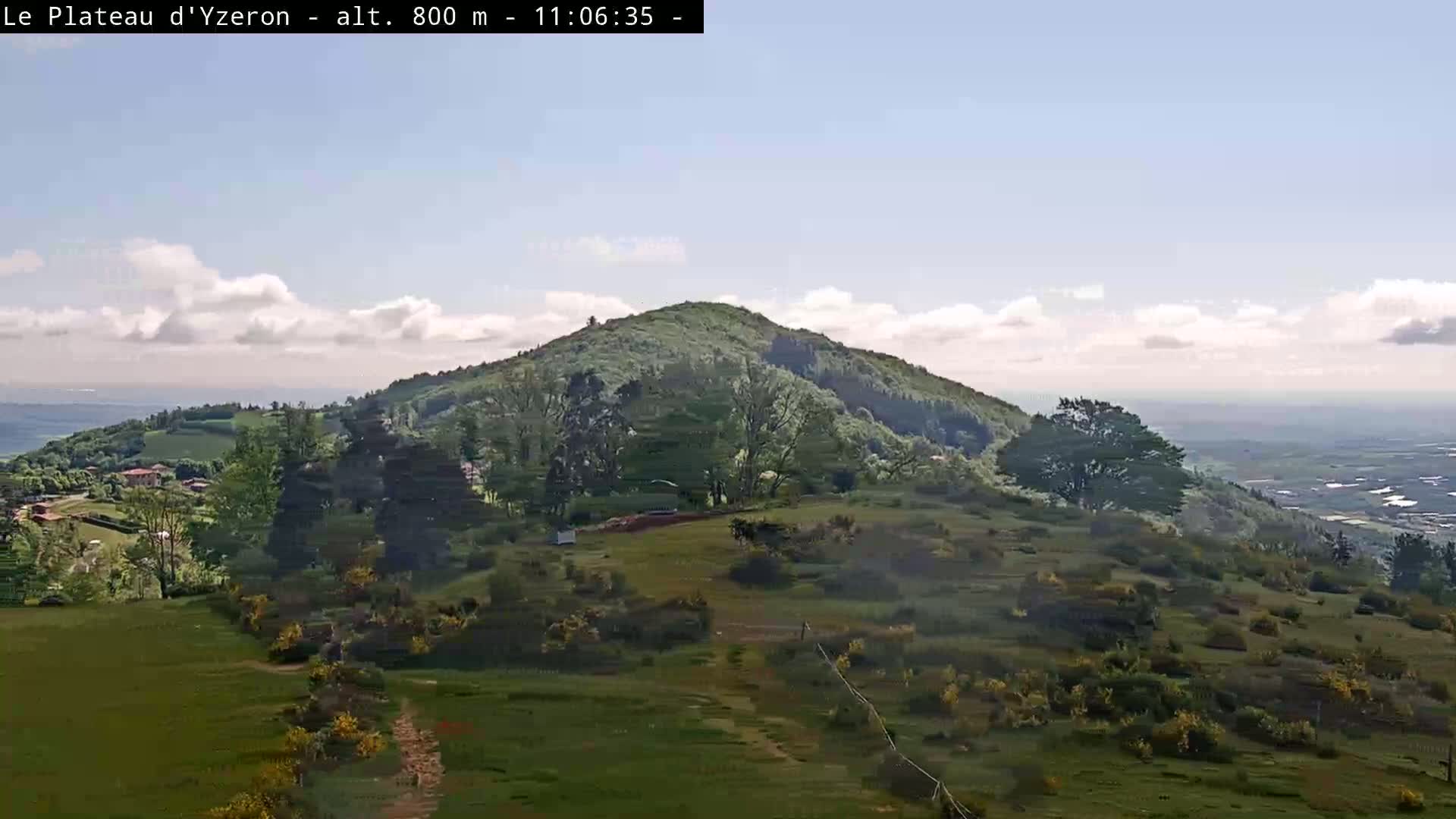 A partly cloudy sky overlooks a grassy hillside with scattered trees and shrubs, culminating in a larger, tree-covered hill in the mid-ground.