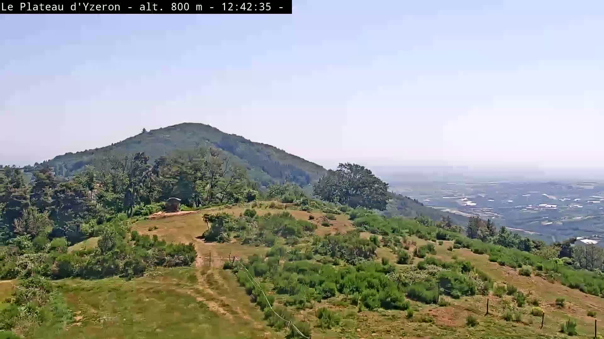 A high-altitude view on a clear, sunny day shows a grassy hillside with low shrubs and trees, overlooking a distant valley.